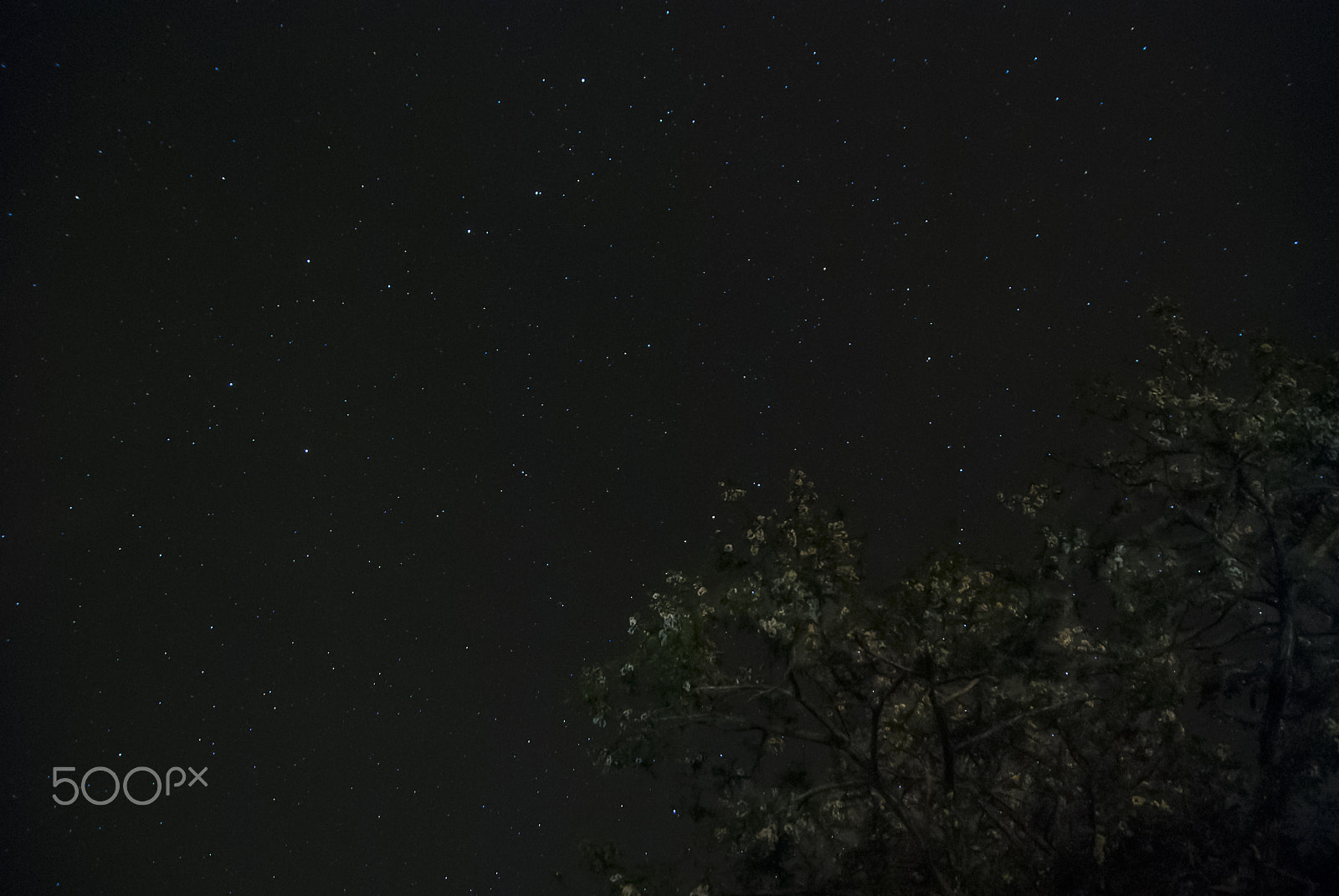 Nikon D80 sample photo. Stars and night landscape photography