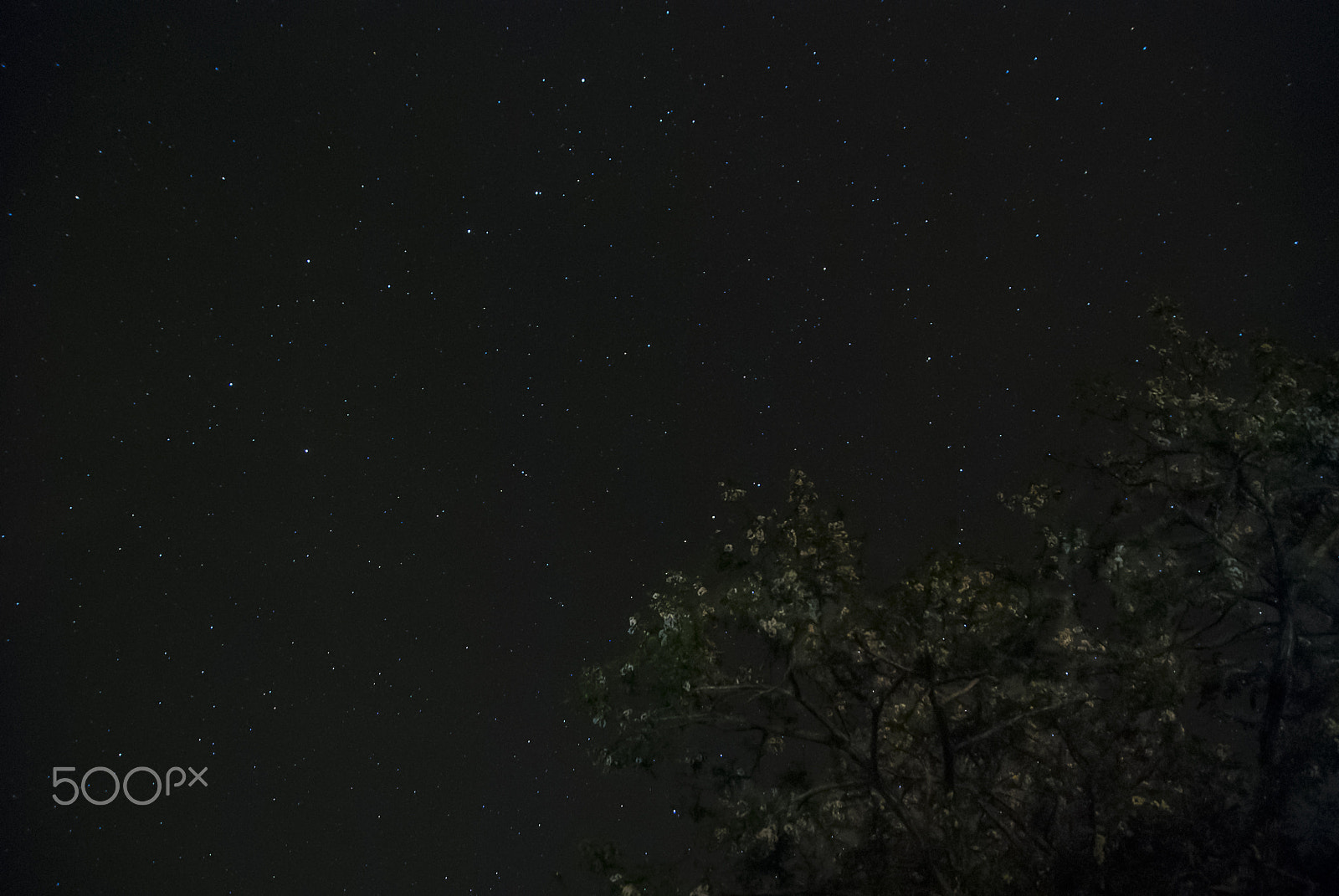 Nikon D80 sample photo. Stars and night landscape photography