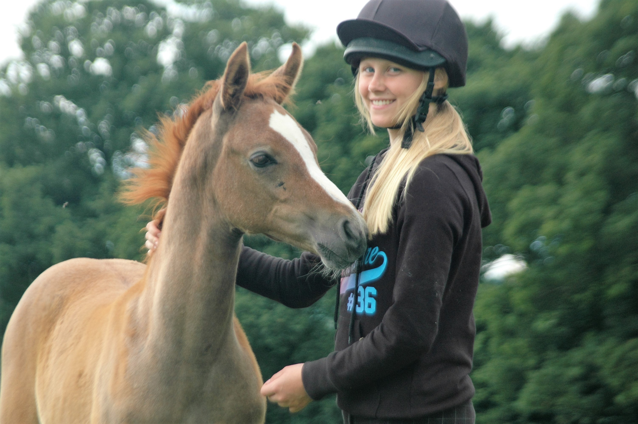 Sigma 28-300mm F3.5-6.3 DG Macro sample photo. Caroline sussex binley silvern tahlia (silvern prince x summertime blues) with iona robinson photo photography