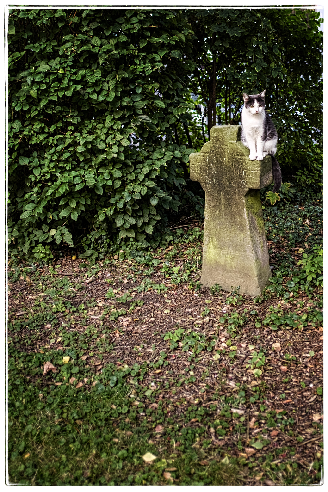 Fujifilm X-E2 + Fujifilm XF 18mm F2 R sample photo. Catholic photography