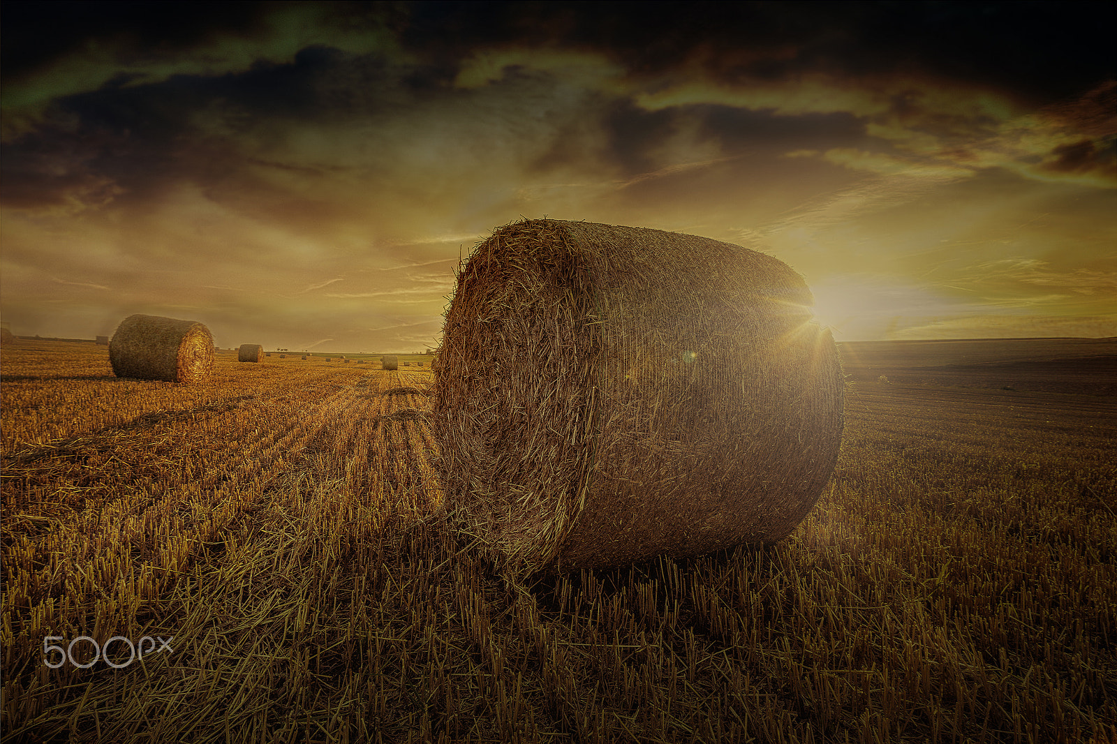Canon EOS 5DS R + Canon TS-E 17mm F4L Tilt-Shift sample photo. Golden hour photography