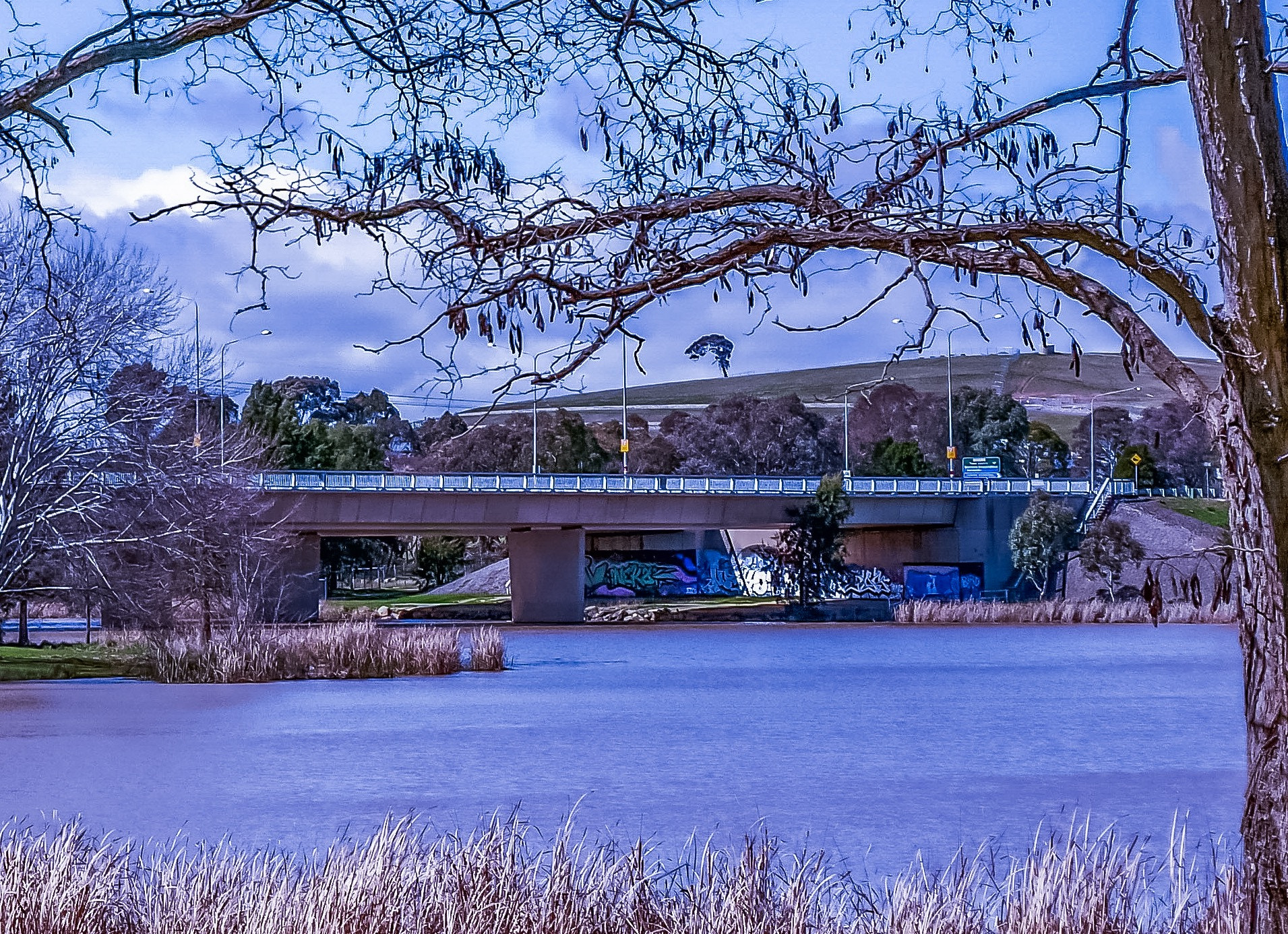 Panasonic DMC-GM1S sample photo. The bridge - ginninderra bridge; lake ginninderra, photography