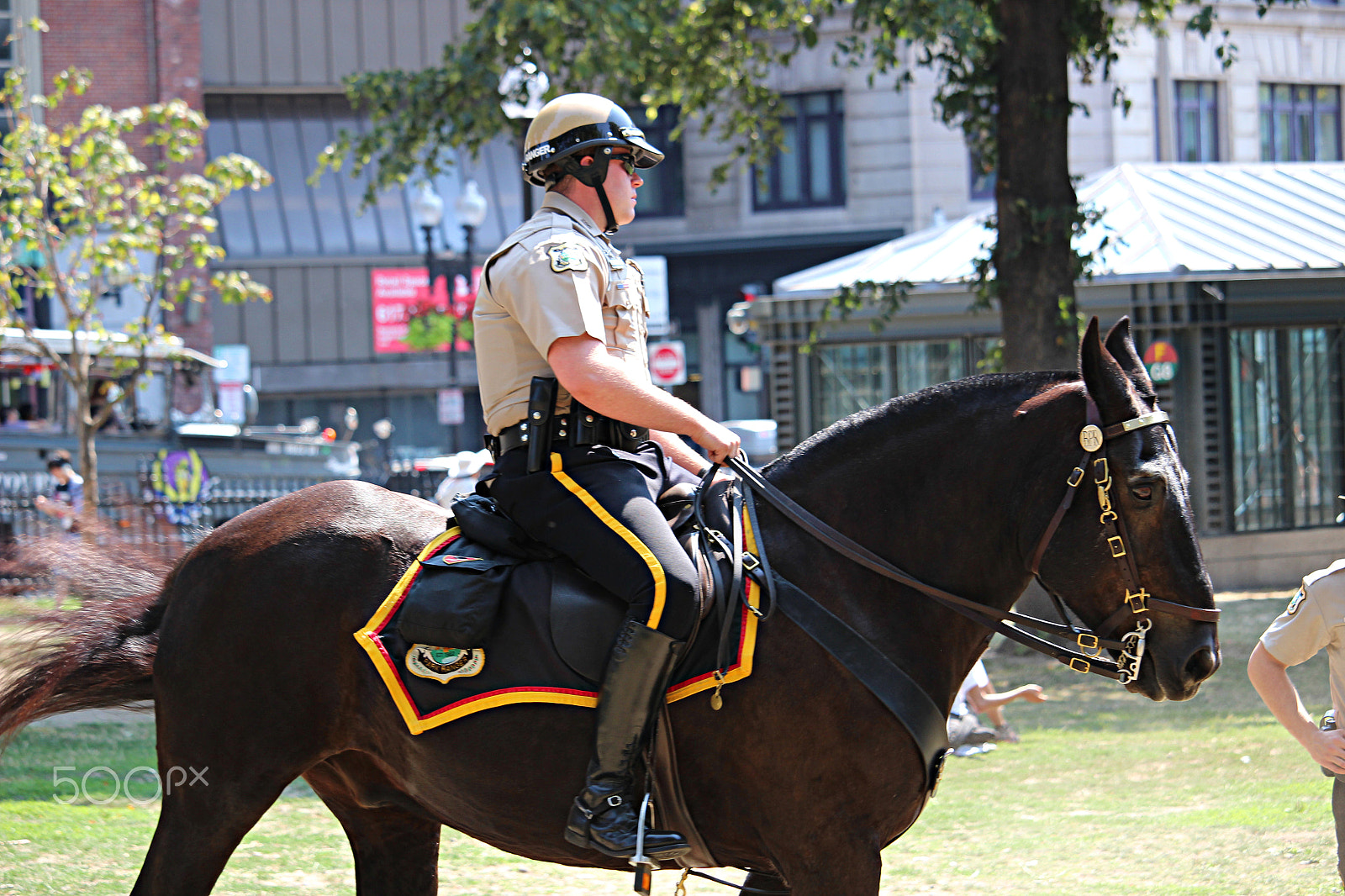 Canon EOS 600D (Rebel EOS T3i / EOS Kiss X5) + 55.0 - 250.0 mm sample photo. Stroll in the park - horse back police photography