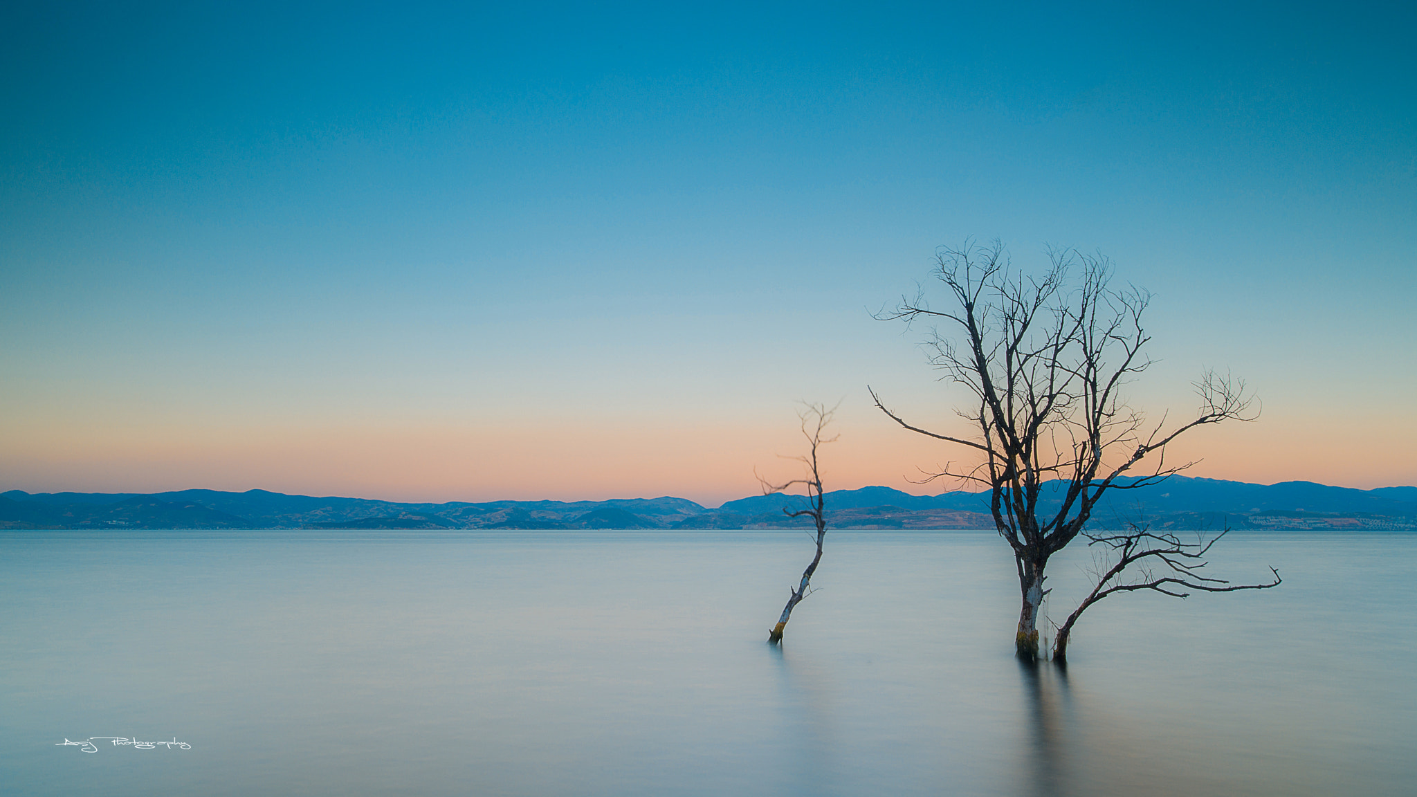 Nikon D800E sample photo. The tree of life photography