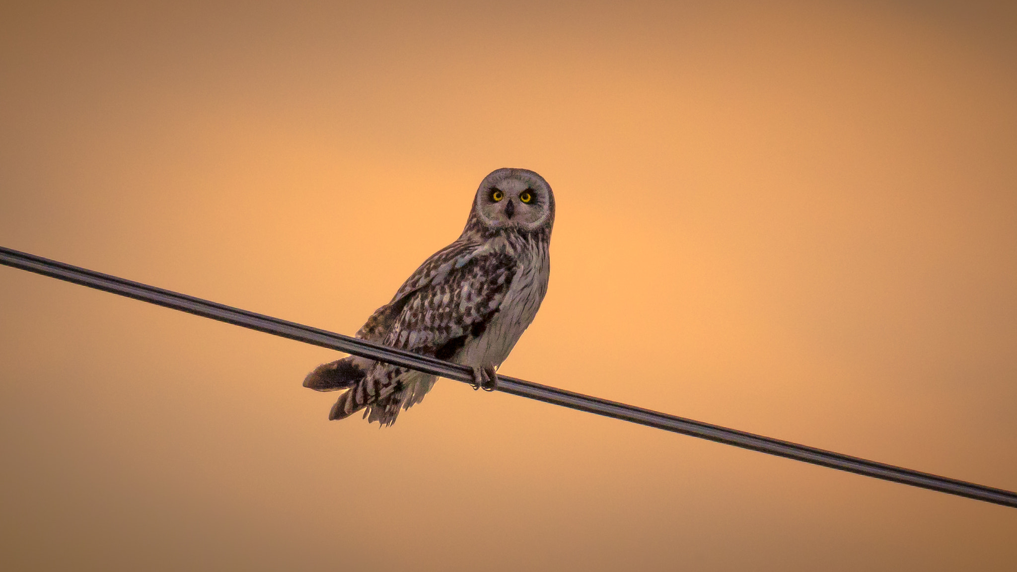 Pentax K-3 sample photo. Look out photography