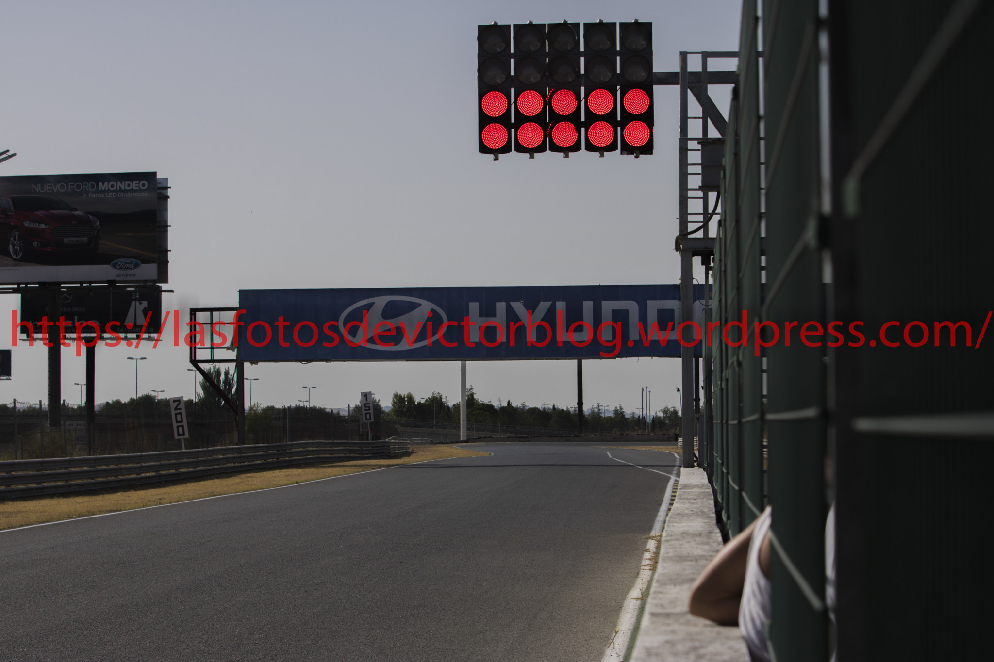 Canon EF 70-200mm F2.8L IS USM sample photo. Mg photography