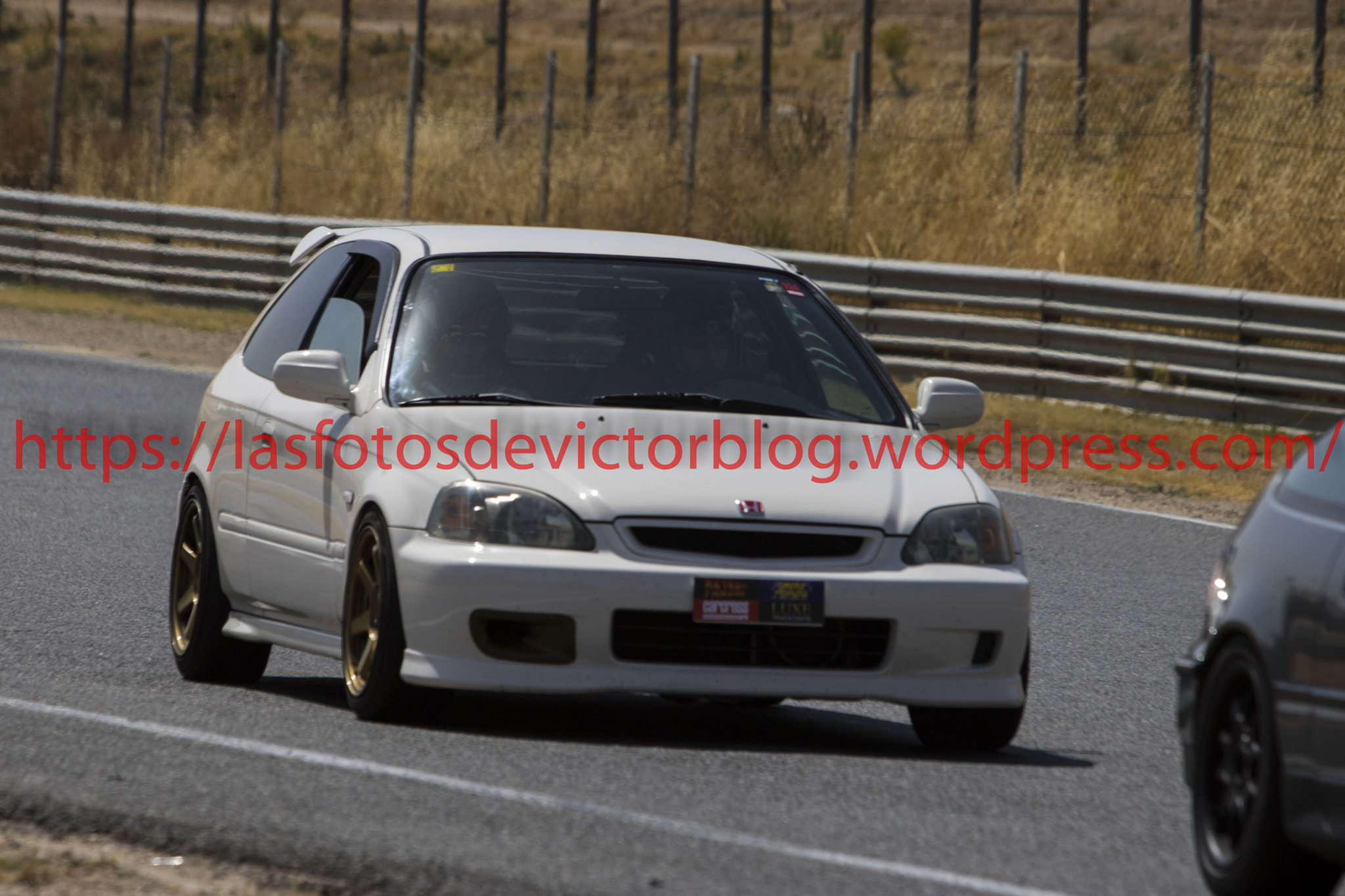 Canon EF 70-200mm F2.8L IS USM sample photo. Mg photography