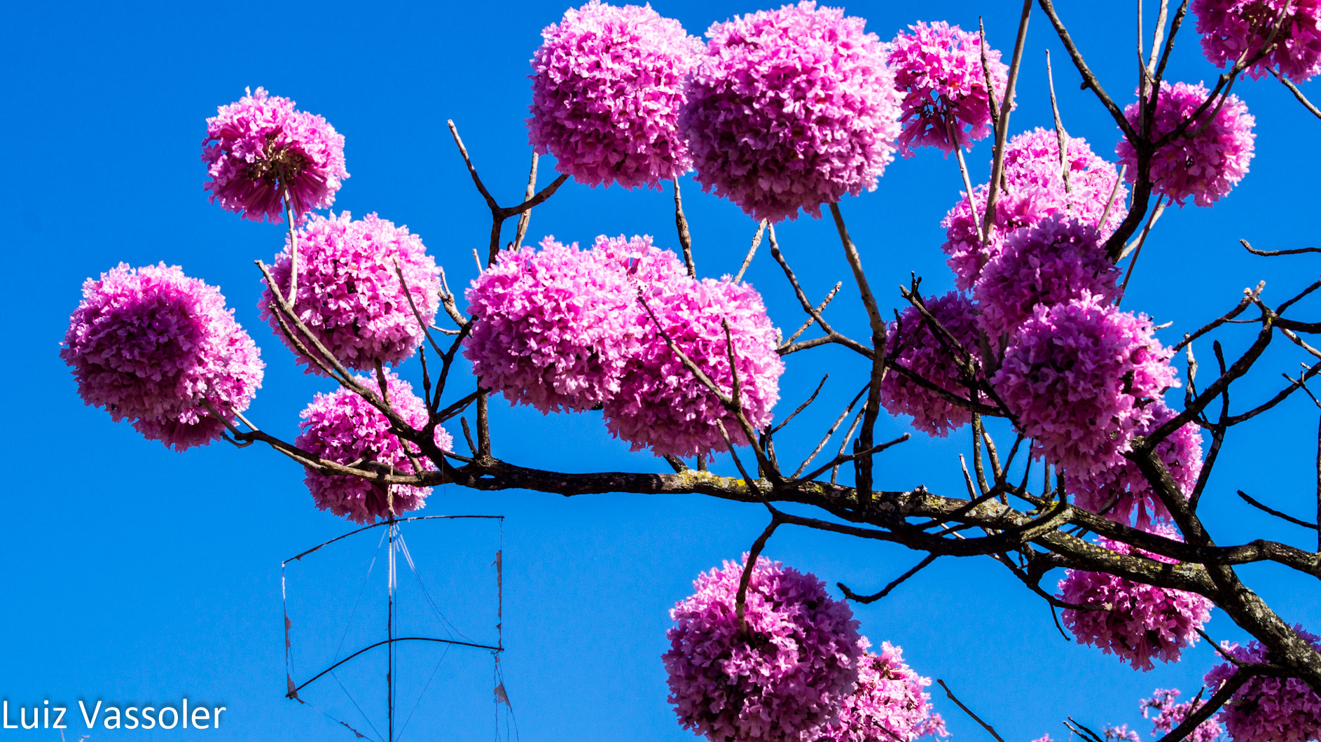 Sony 75-300mm F4.5-5.6 sample photo. Dsc photography