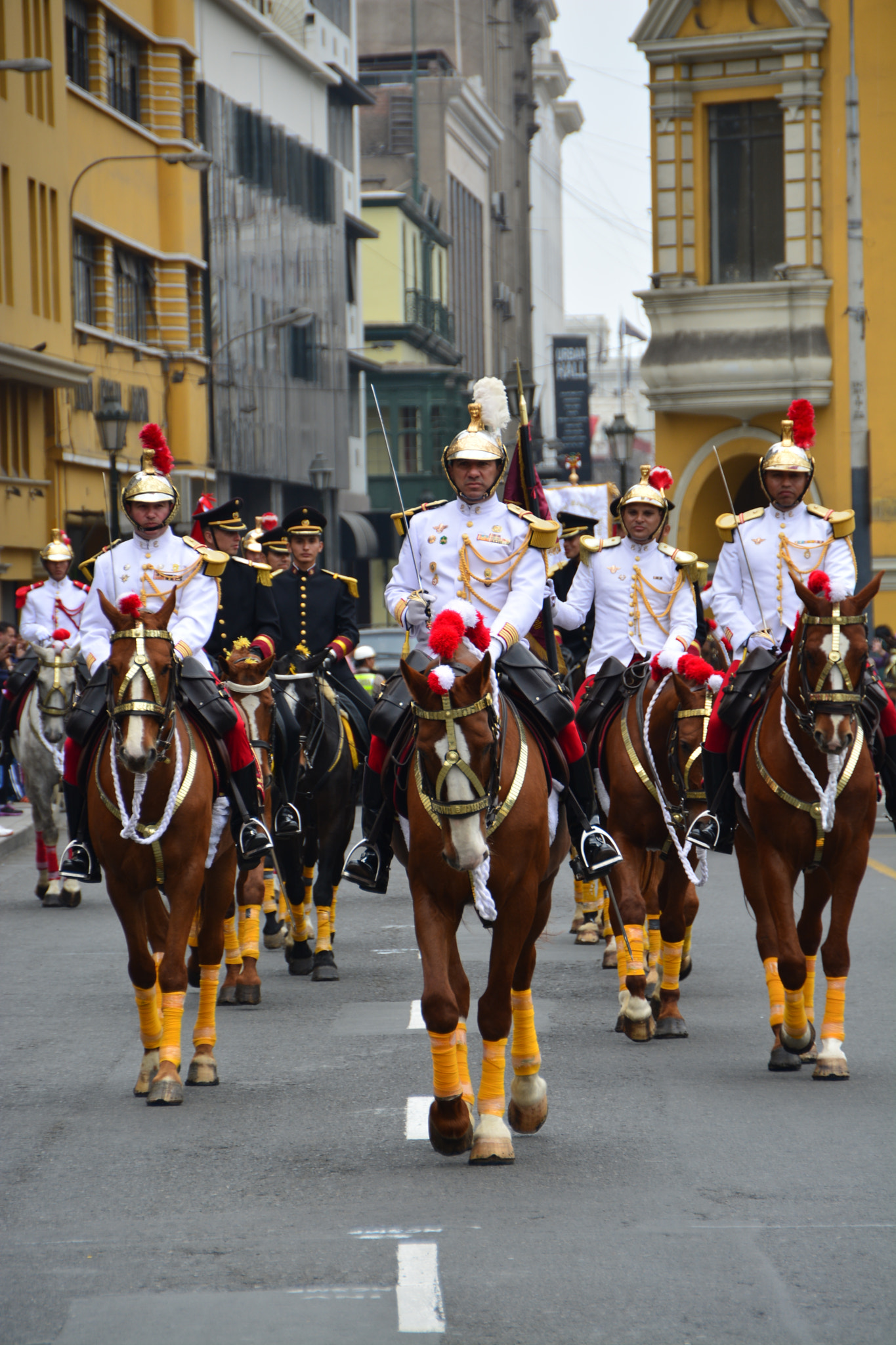 Nikon D5200 + Sigma 18-250mm F3.5-6.3 DC OS HSM sample photo. Changing of the guard photography