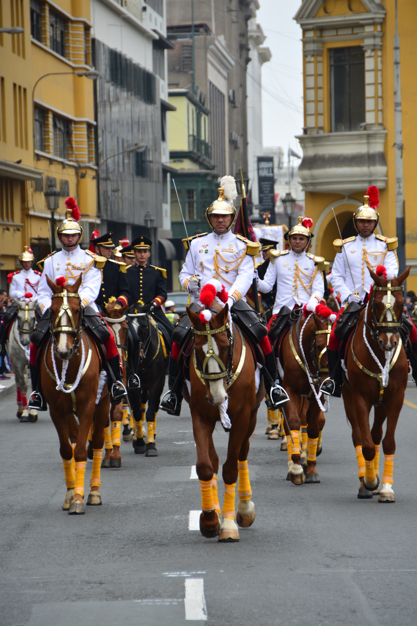 Sigma 18-250mm F3.5-6.3 DC OS HSM sample photo. Changing of the guard photography