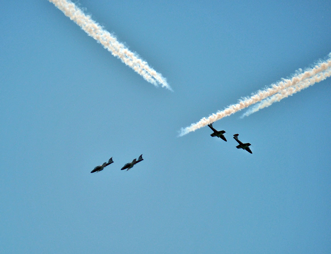 Panasonic Lumix G Vario 45-200mm F4-5.6 OIS sample photo. Beauty of the flight photography