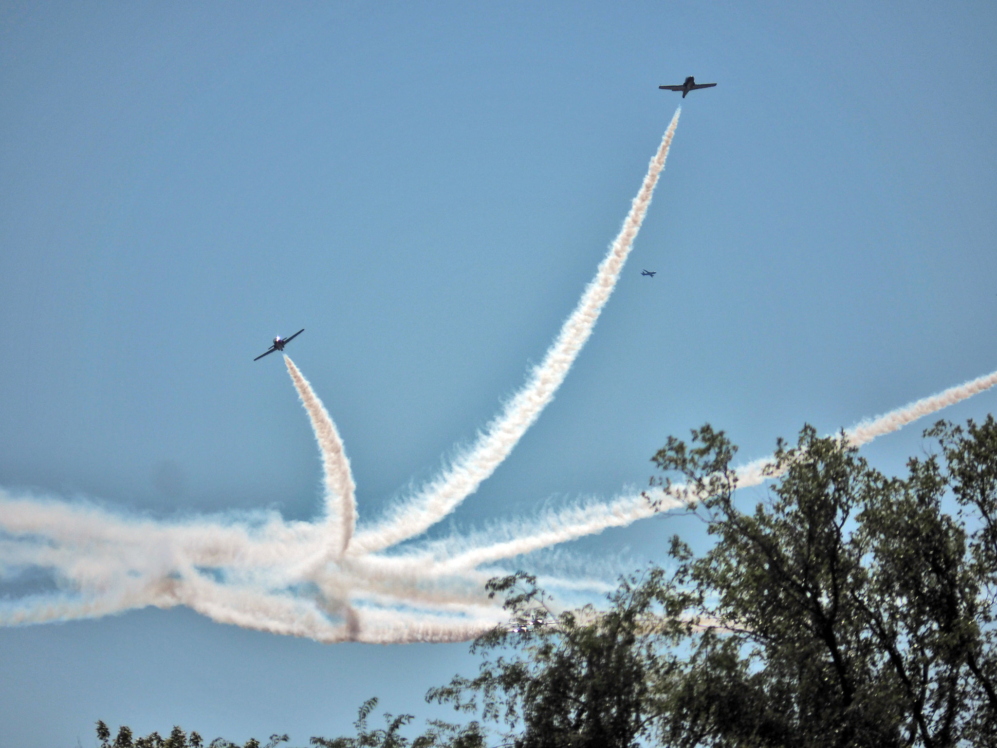 Panasonic Lumix G Vario 45-200mm F4-5.6 OIS sample photo. Beauty of the flight photography