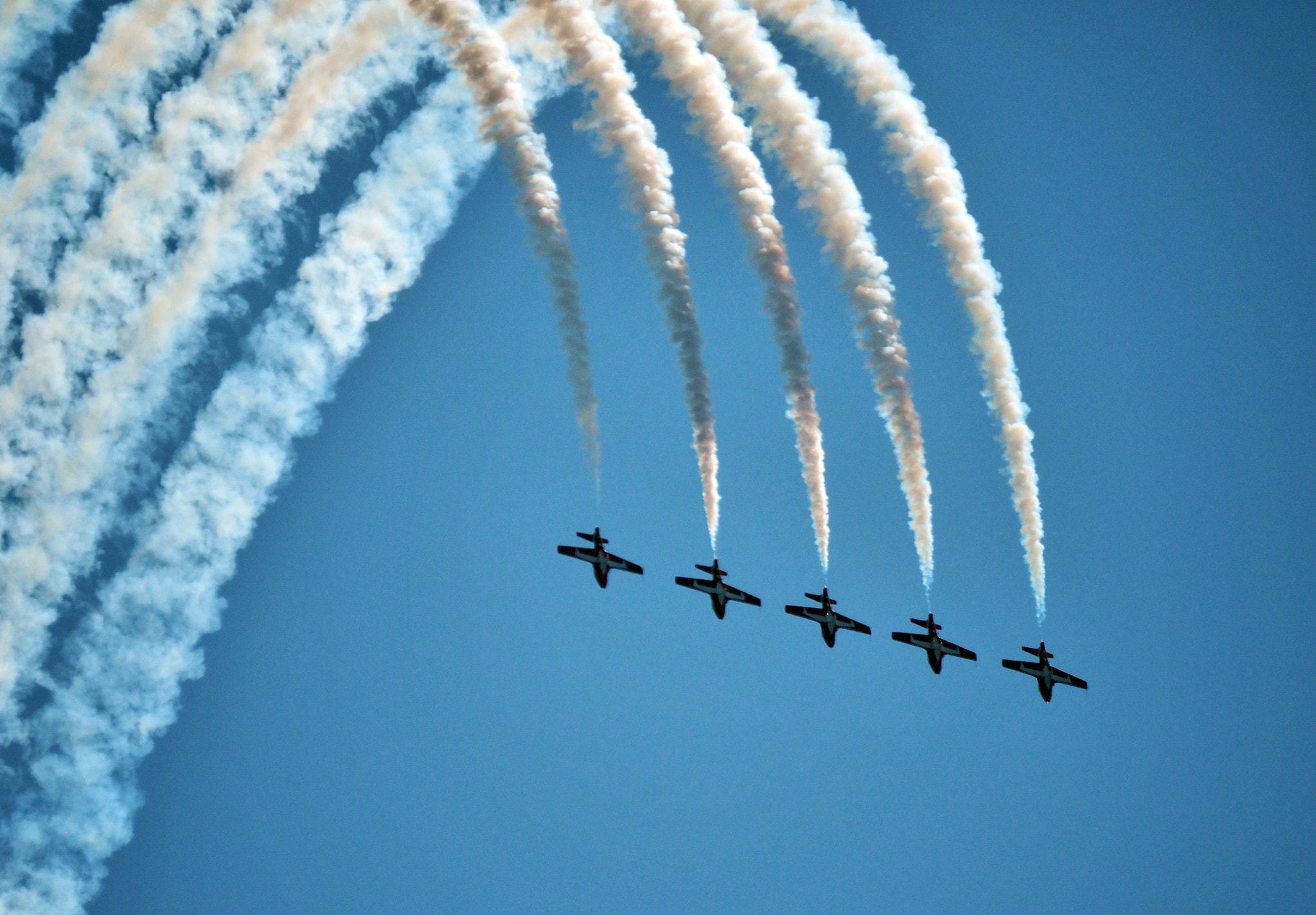 Panasonic Lumix G Vario 45-200mm F4-5.6 OIS sample photo. Beauty of the flight photography