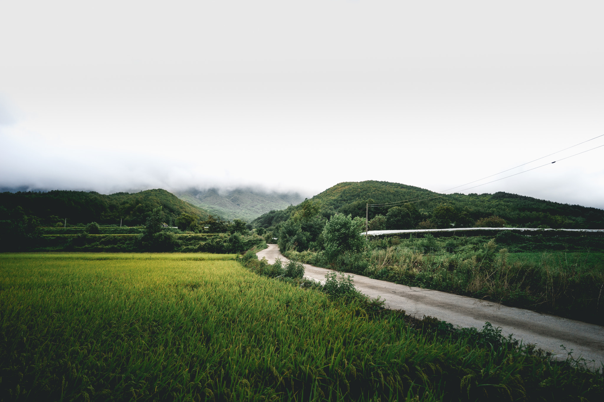 Sony a7 + ZEISS Batis 18mm F2.8 sample photo. Okcheon countryside photography