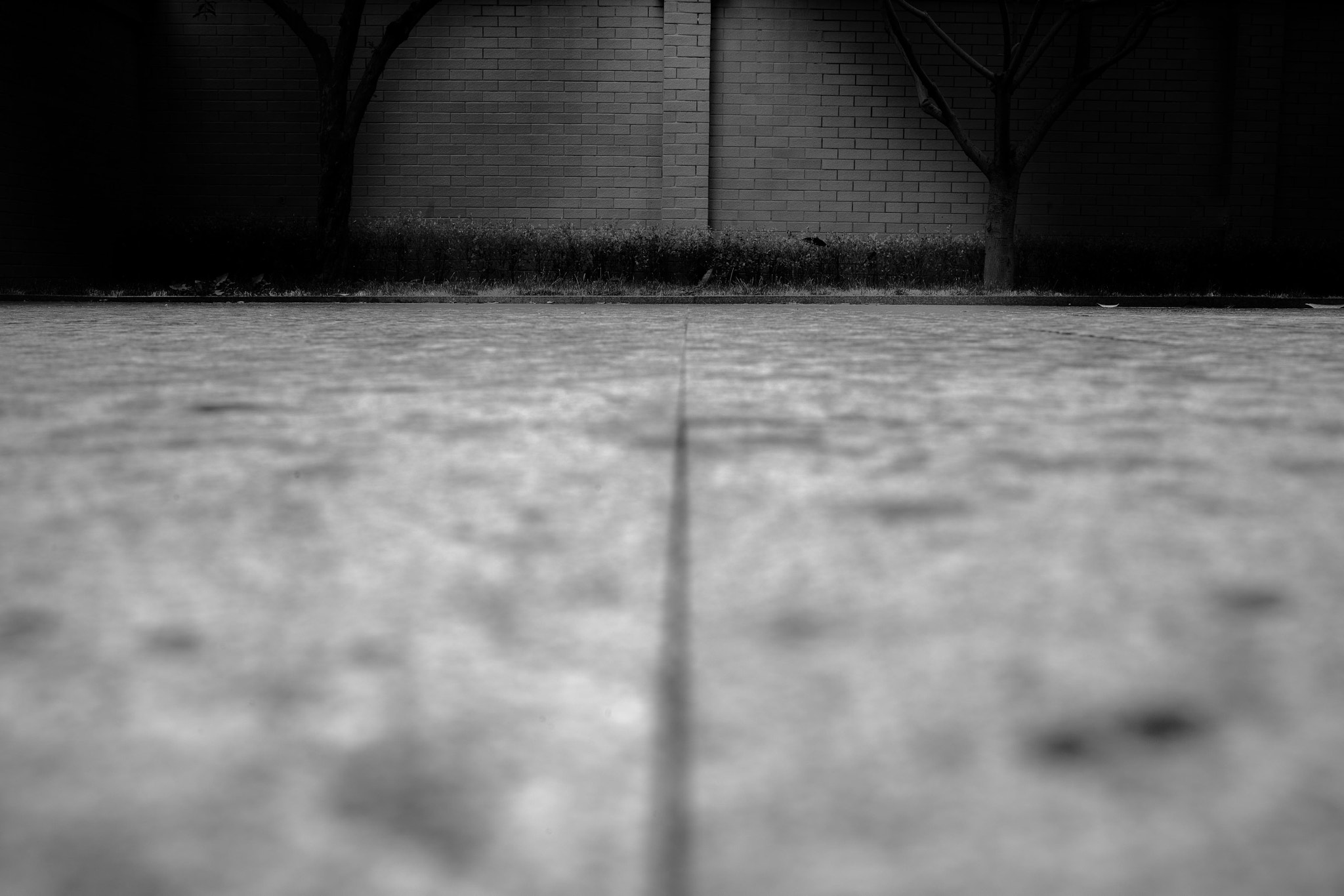 Leica Summicron-M 28mm F2 ASPH sample photo. 雨打地面点点影 photography