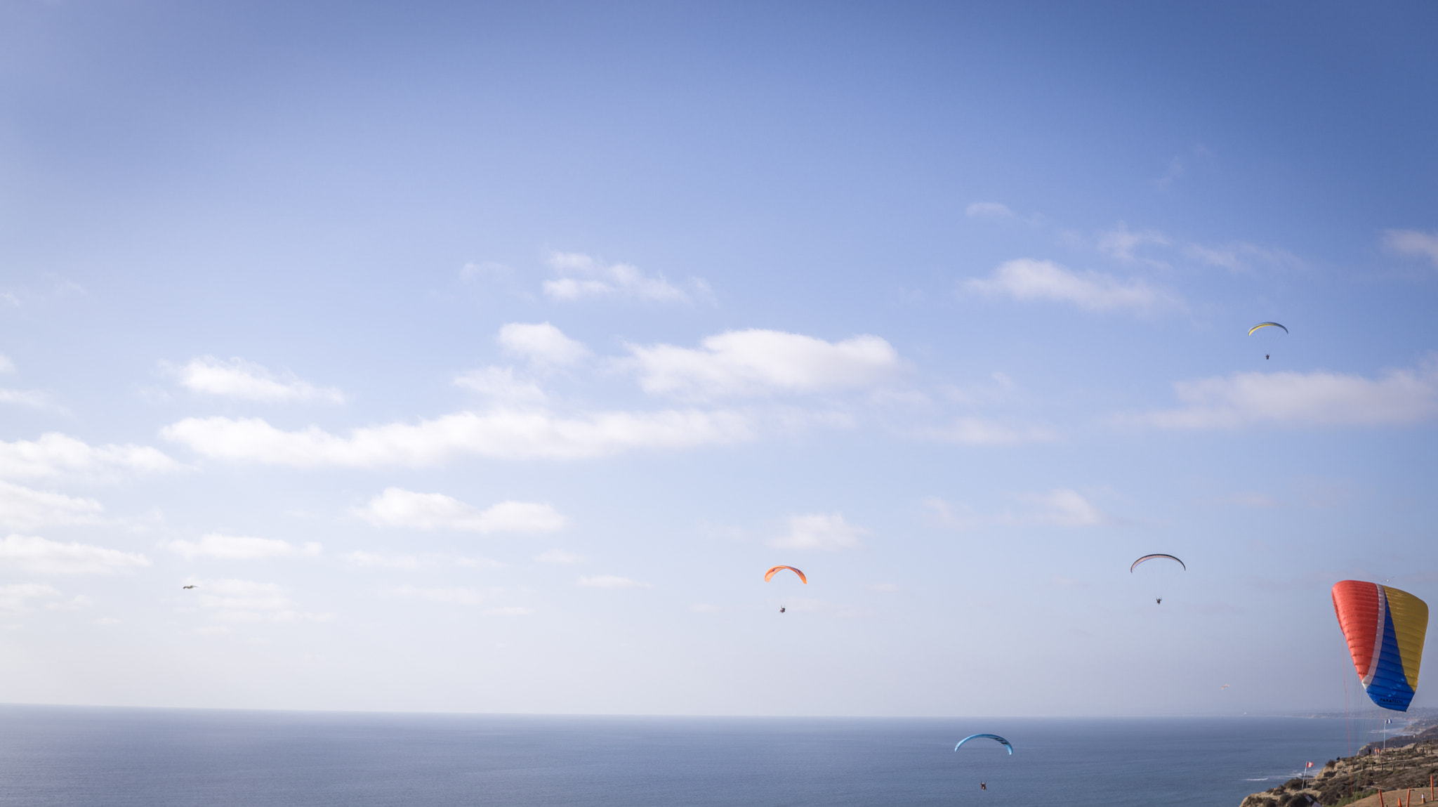 Sony a6000 + Sigma 30mm F1.4 DC DN | C sample photo. Escape to freedom photography