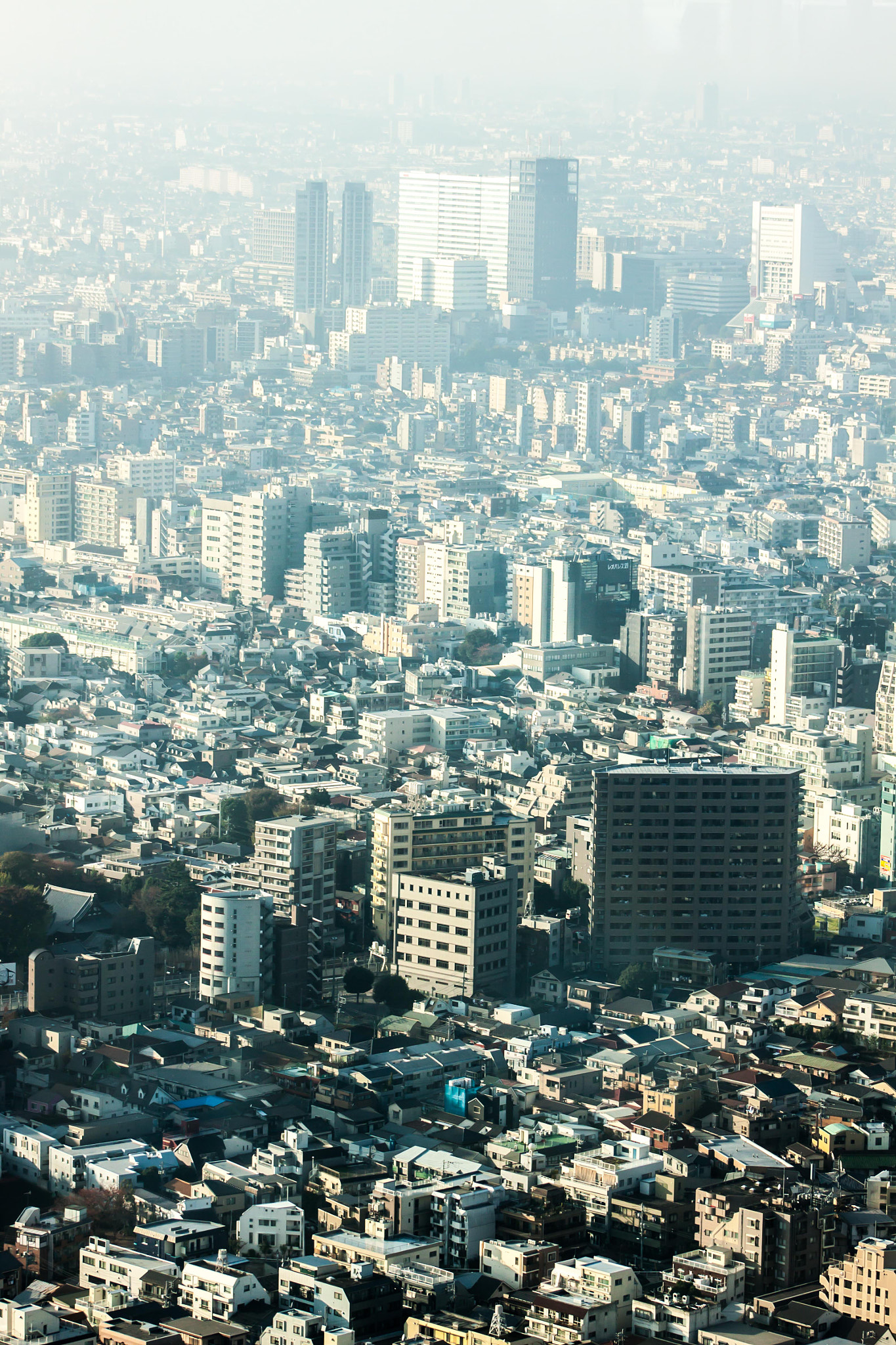 Canon EF 75-300mm f/4-5.6 USM sample photo. Japan photography