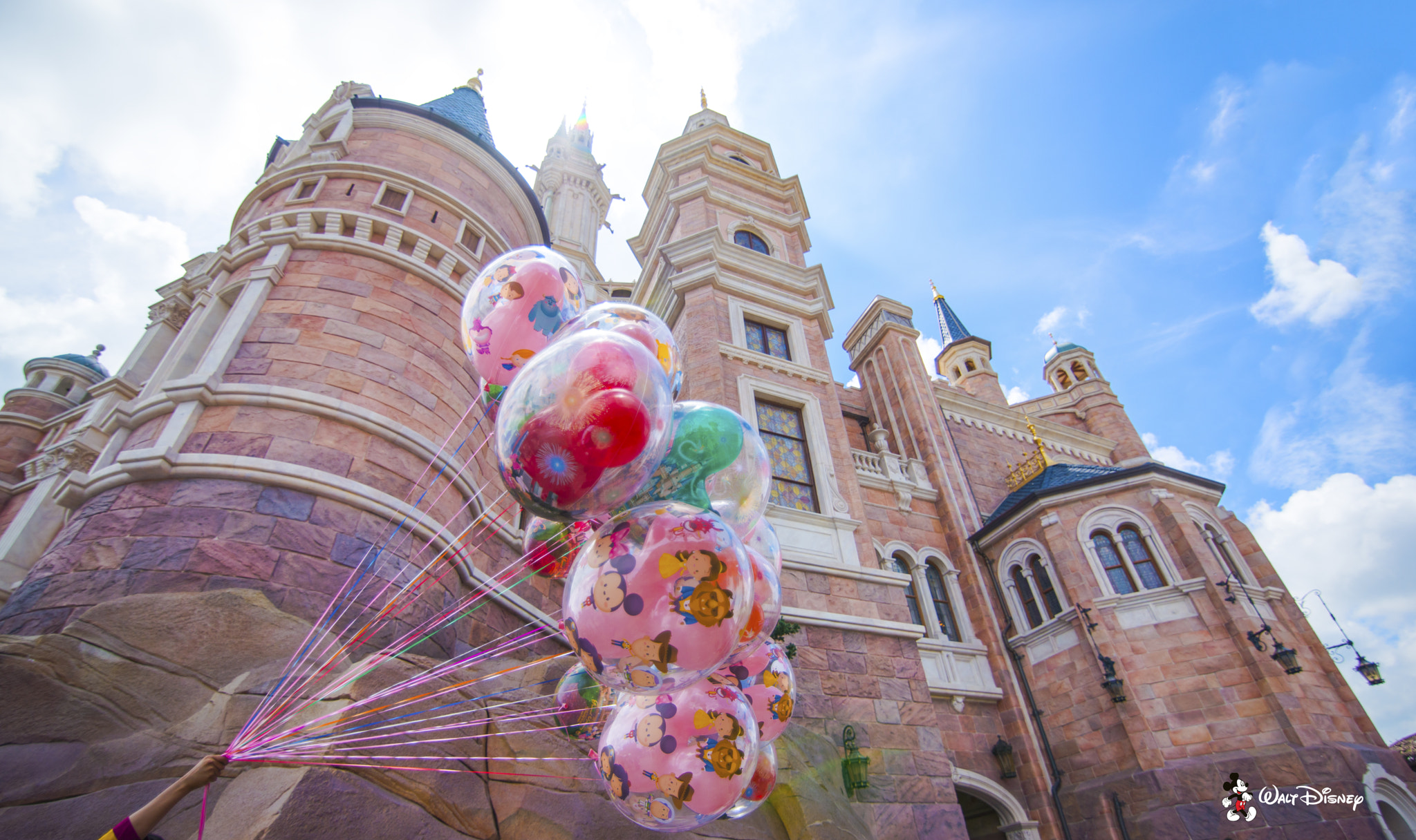 Tokina AT-X 16-28mm F2.8 Pro FX sample photo. Disney photography