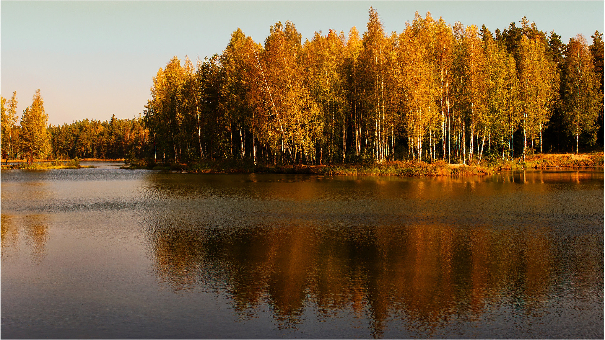Nikon D200 sample photo. Golden autumn photography
