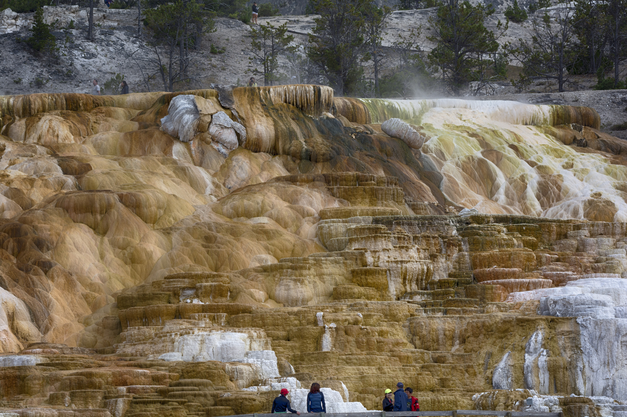 Nikon AF-S Nikkor 200-500mm F5.6E ED VR sample photo. Mammoth hotsprings photography