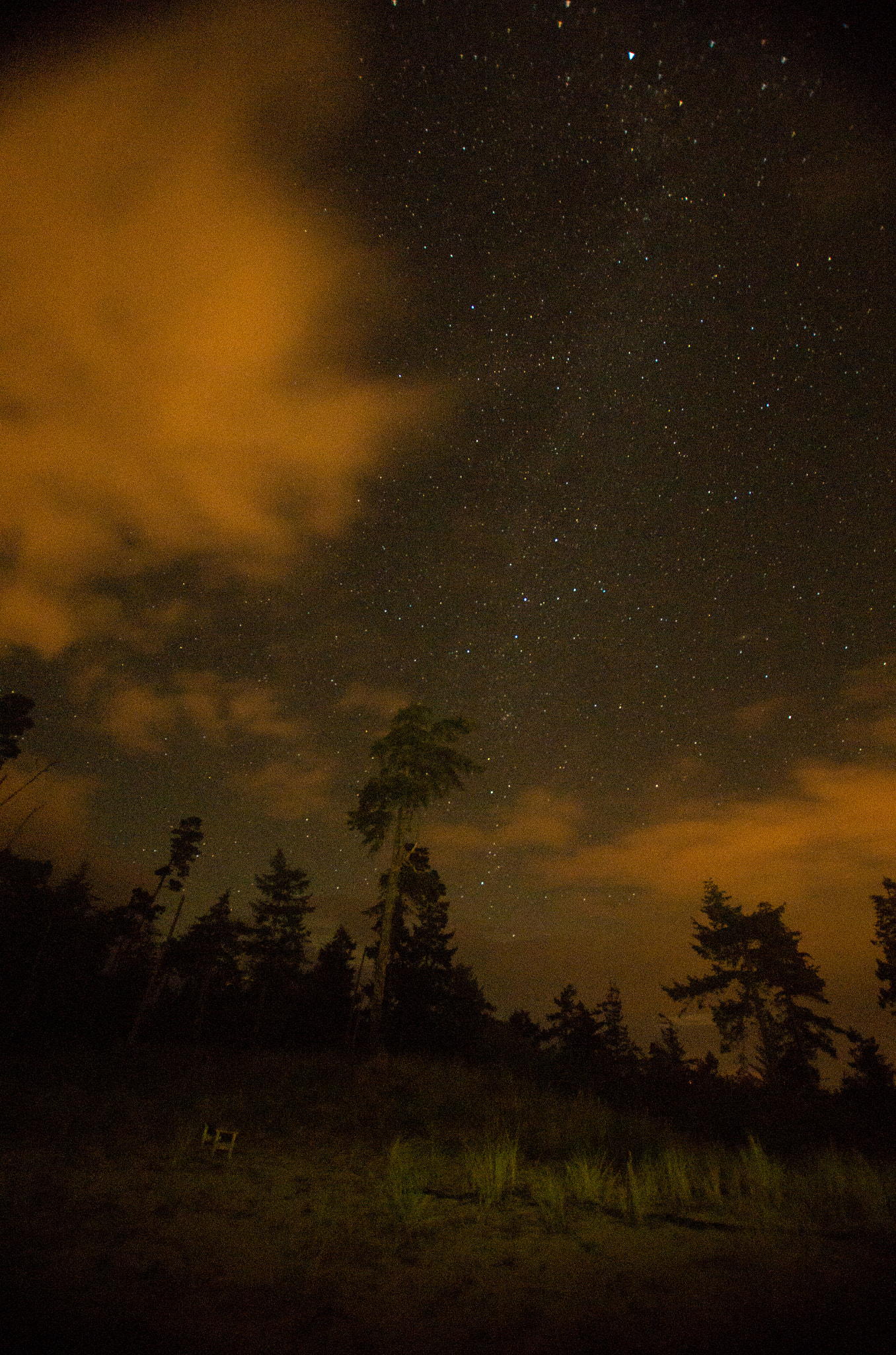 Sigma 10-20mm F3.5 EX DC HSM sample photo. Pine ridge stars photography