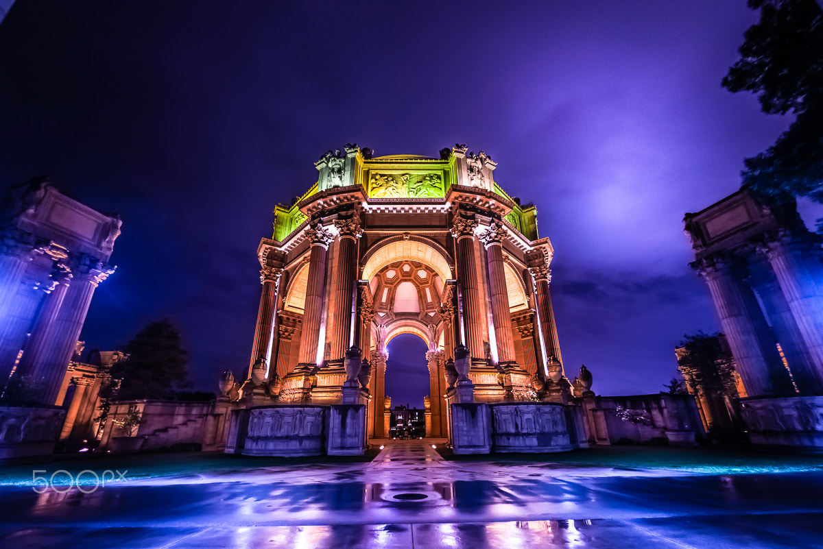 Nikon D800 + Nikon AF Fisheye-Nikkor 16mm F2.8D sample photo. Palace of fine arts photography