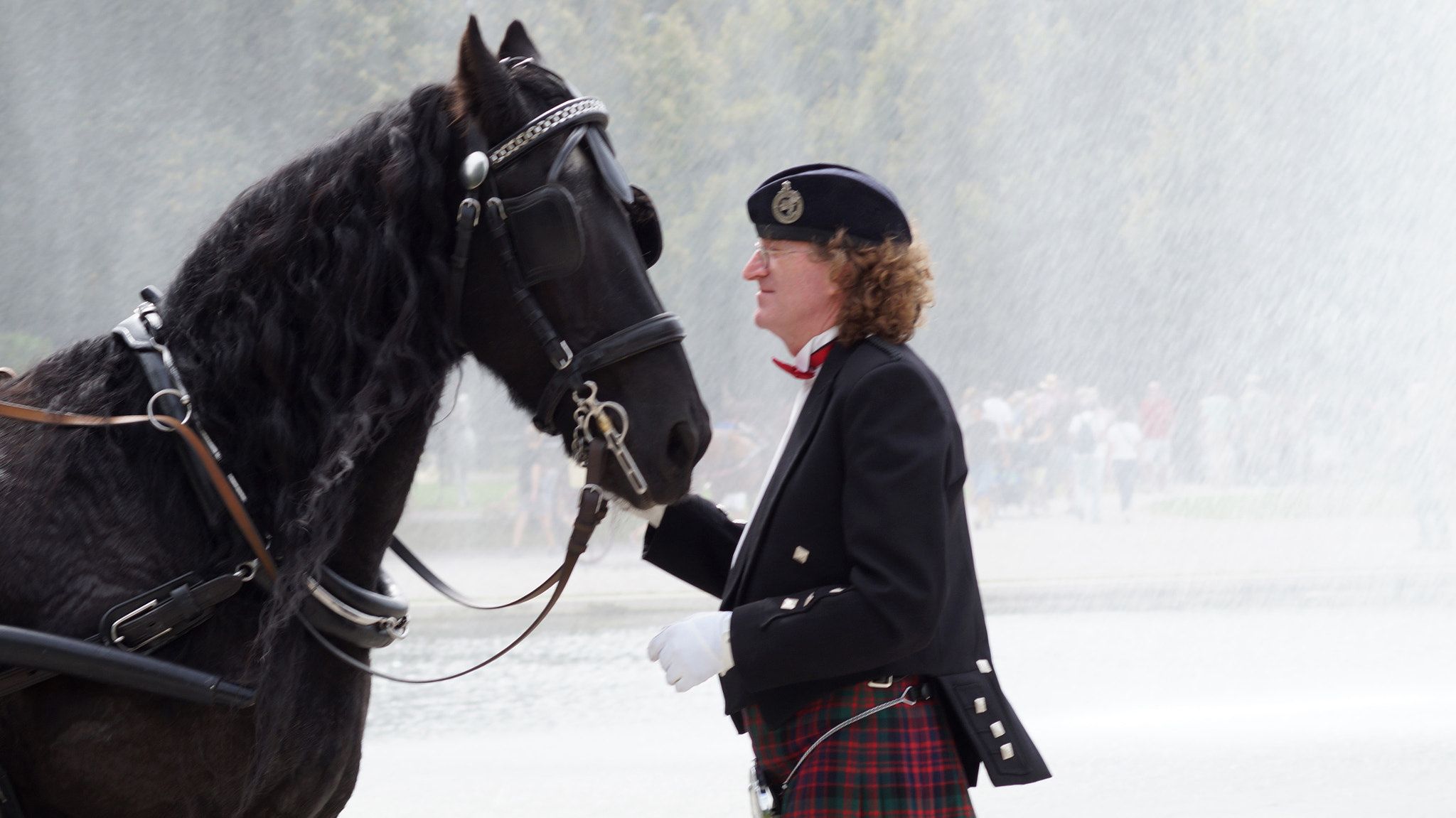 Sony SLT-A58 + Sony 85mm F2.8 SAM sample photo. The horse whisperer photography