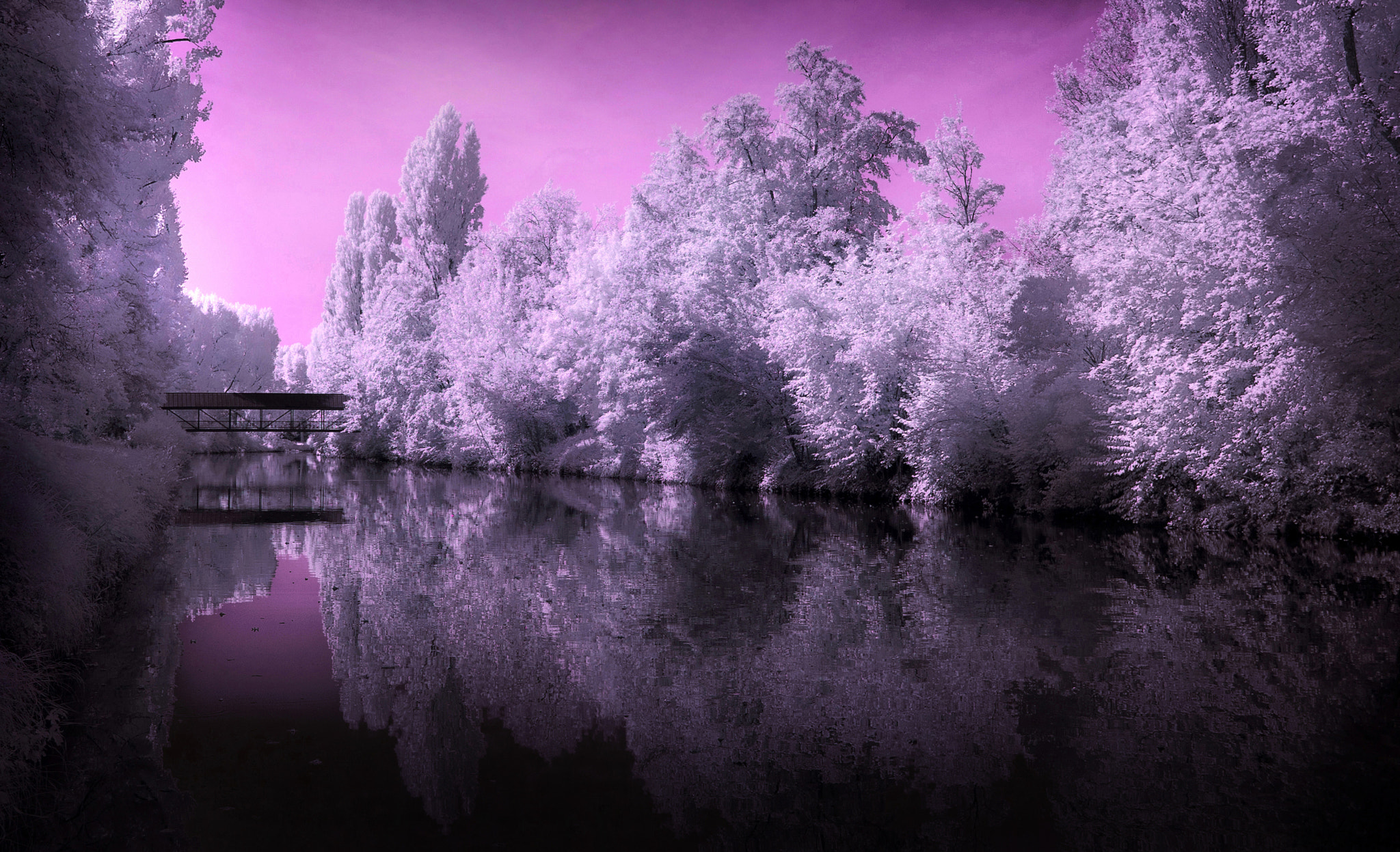 Canon EOS 5D + Canon EF 16-35mm F4L IS USM sample photo. A bridge photography