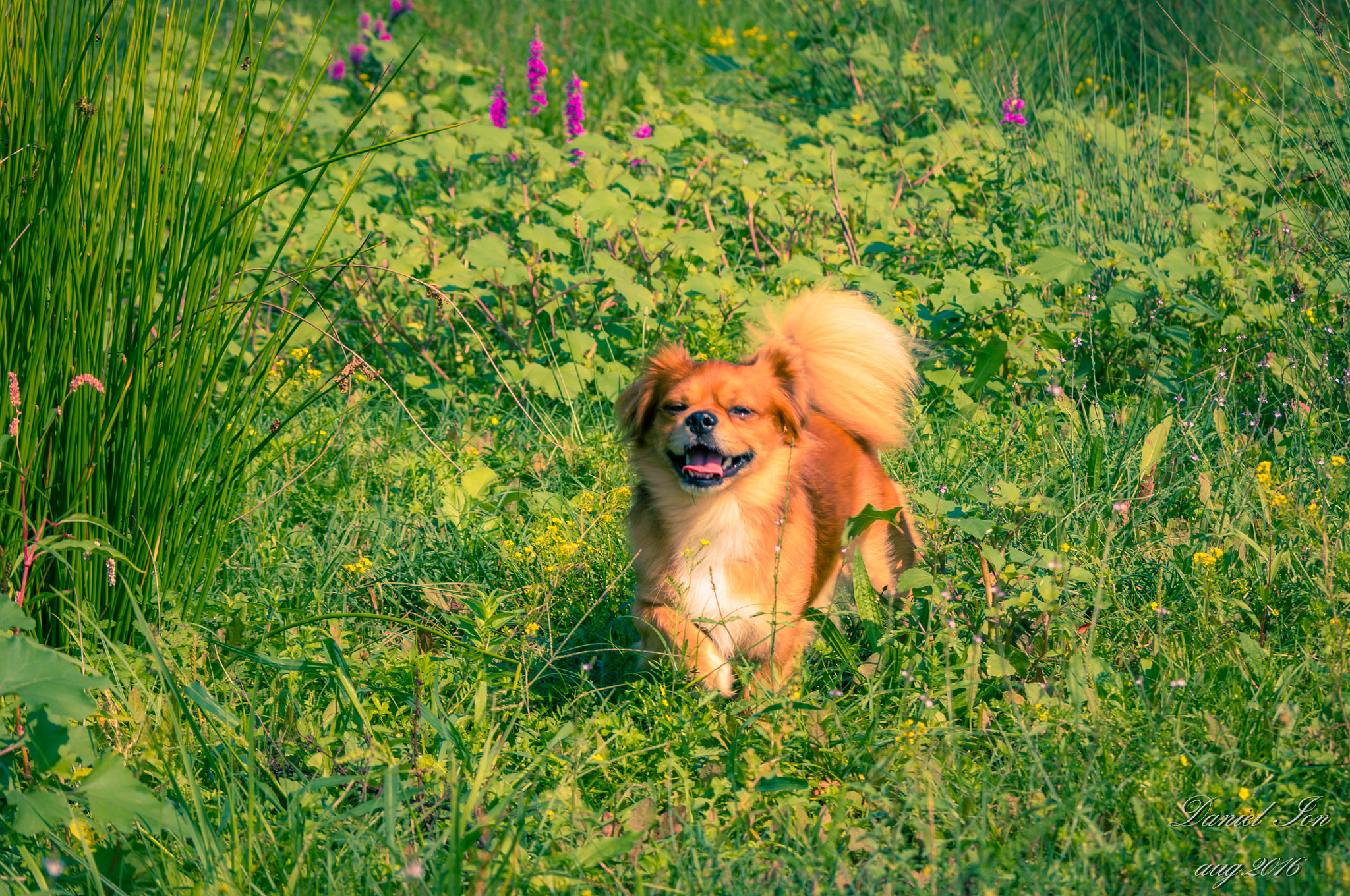 Pentax K-x + smc PENTAX-FA 80-320mm F4.5-5.6 sample photo. Labuta photography