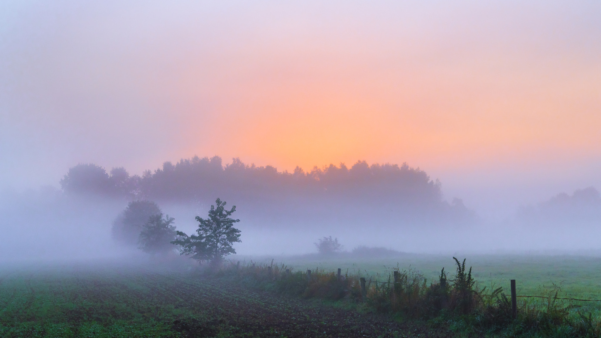 Pentax K-1 sample photo. Foggy morning photography