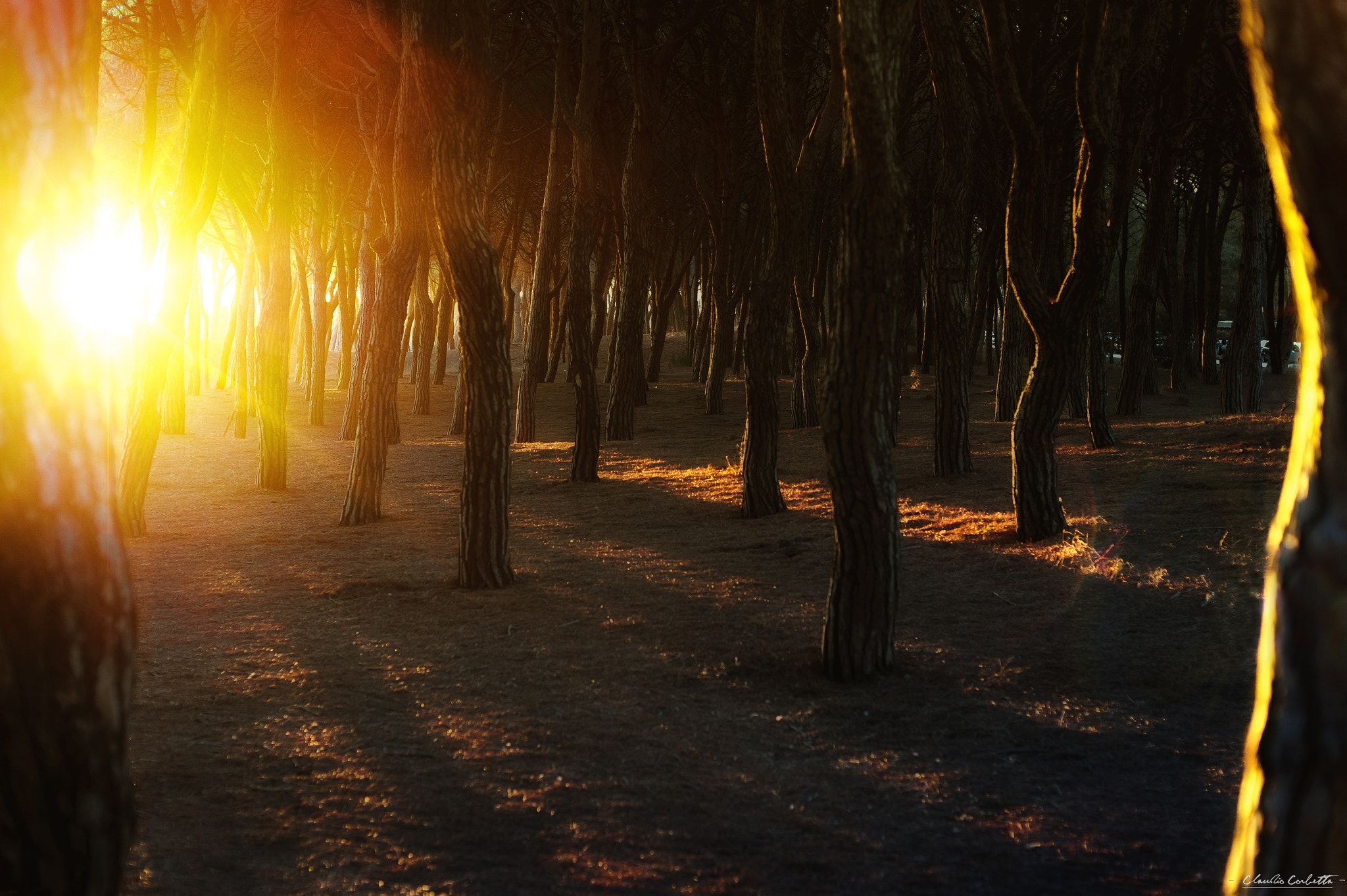 Nikon AF Nikkor 50mm F1.4D sample photo. Sunset photography