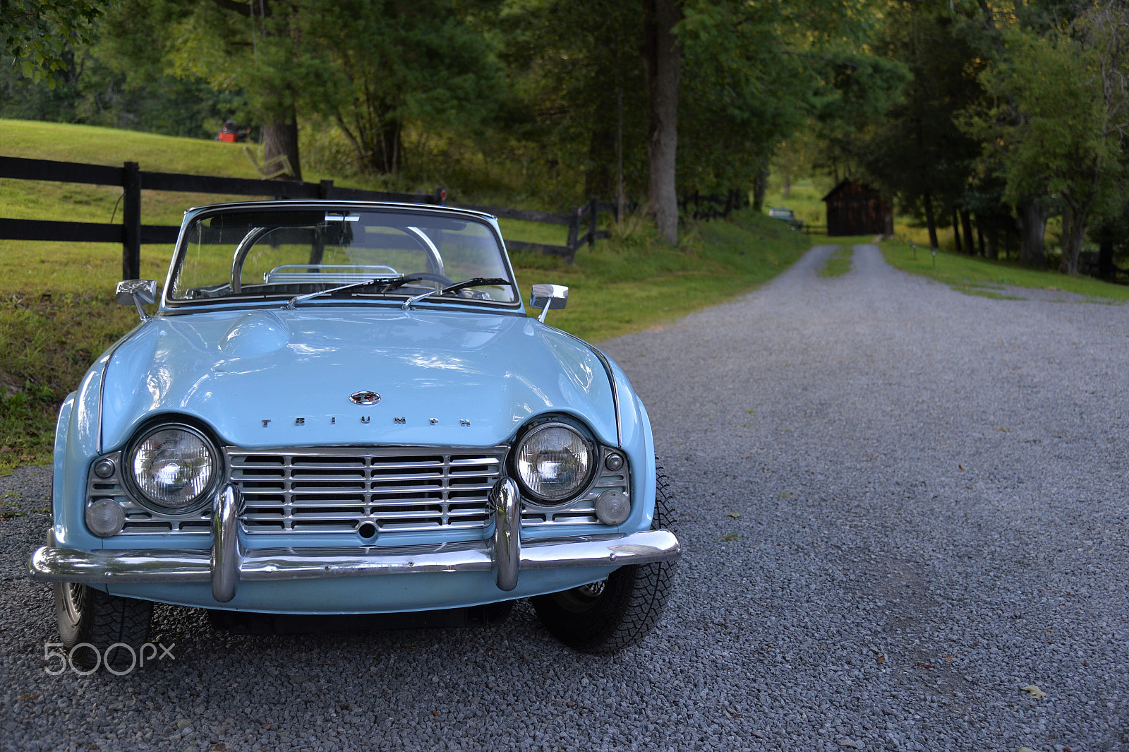 Nikon Df sample photo. Blue triumph photography