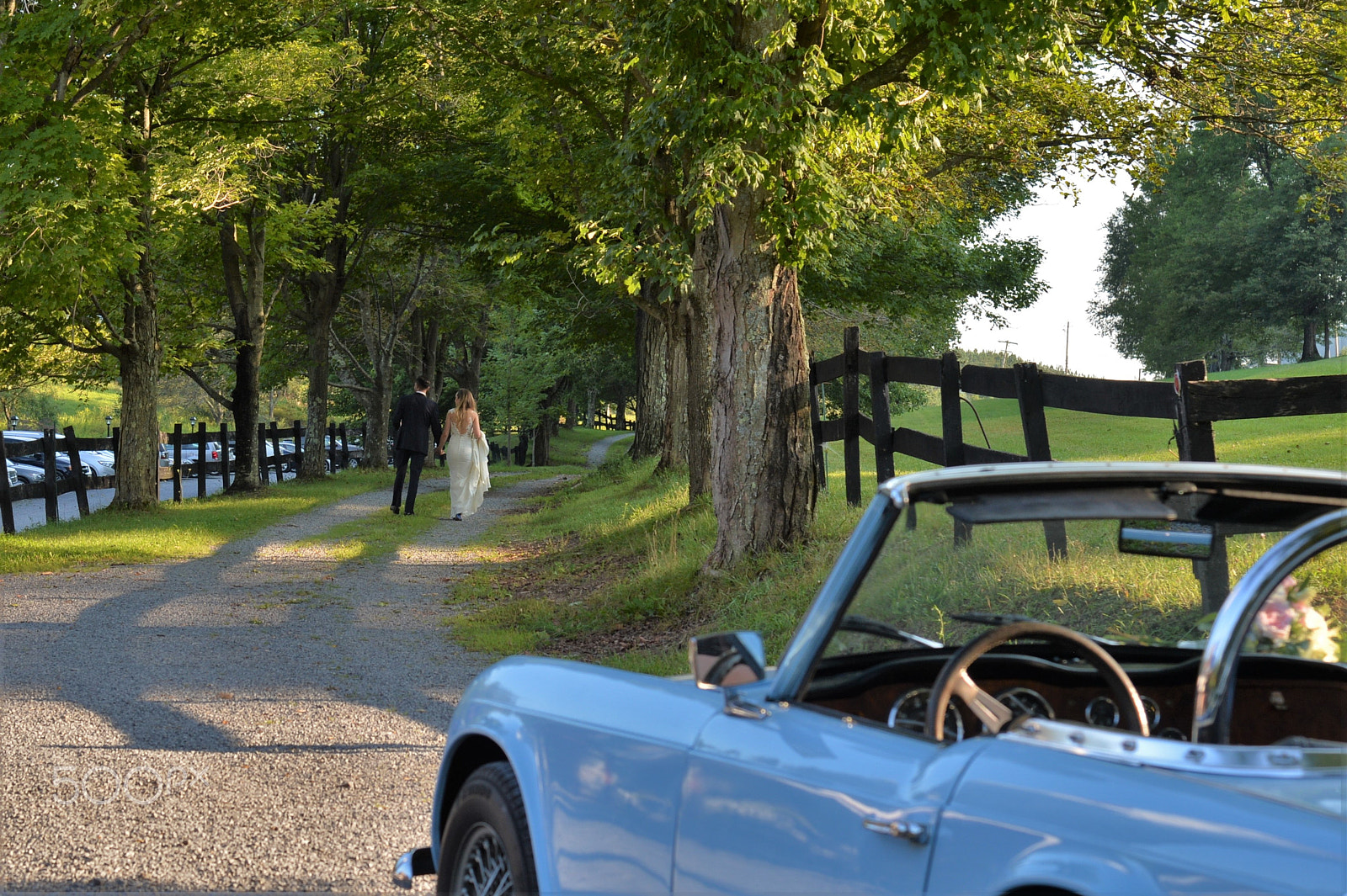 Nikon Df sample photo. Beuty of deep creek photography