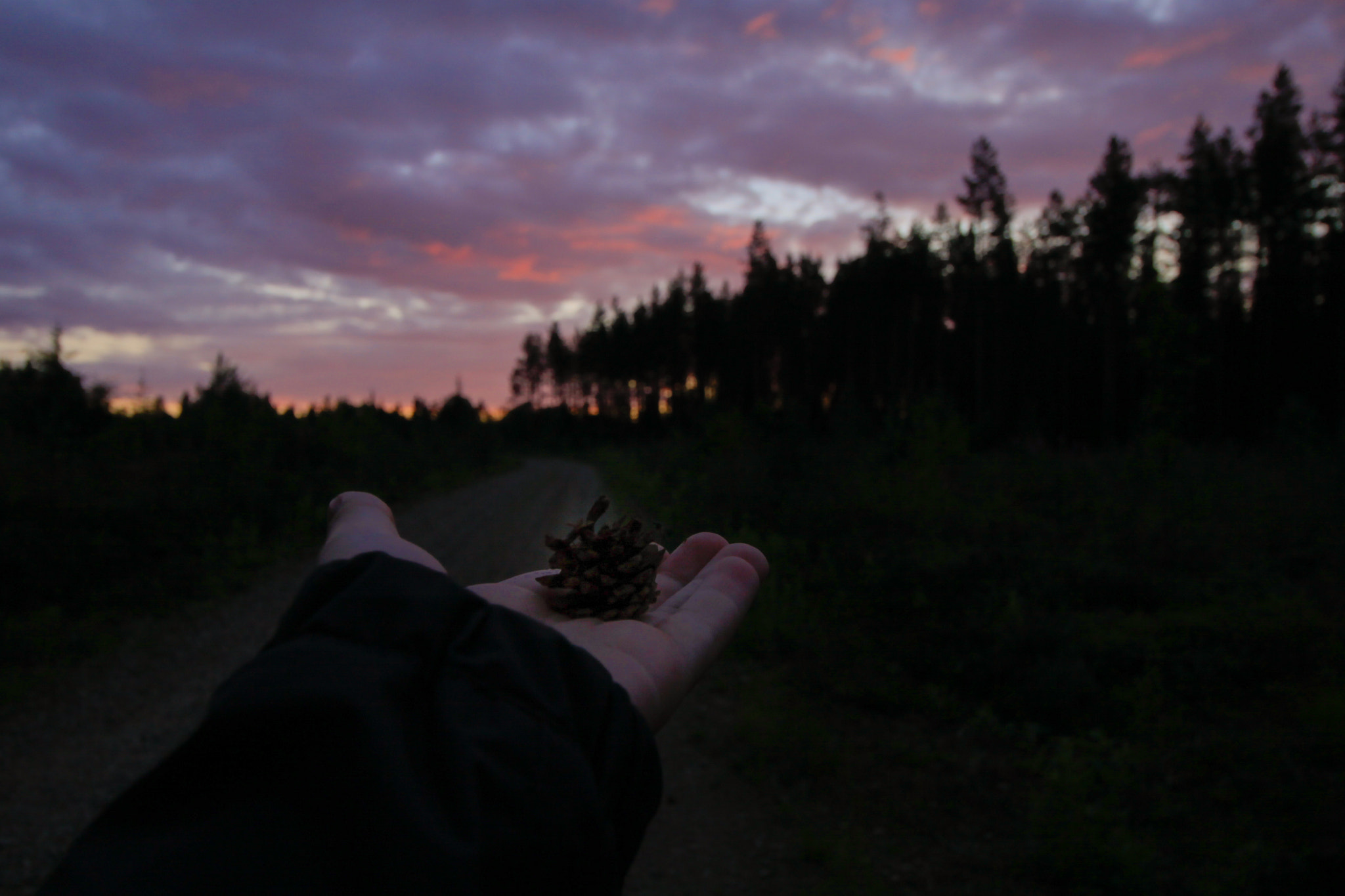Canon EOS 50D sample photo. Handy photography