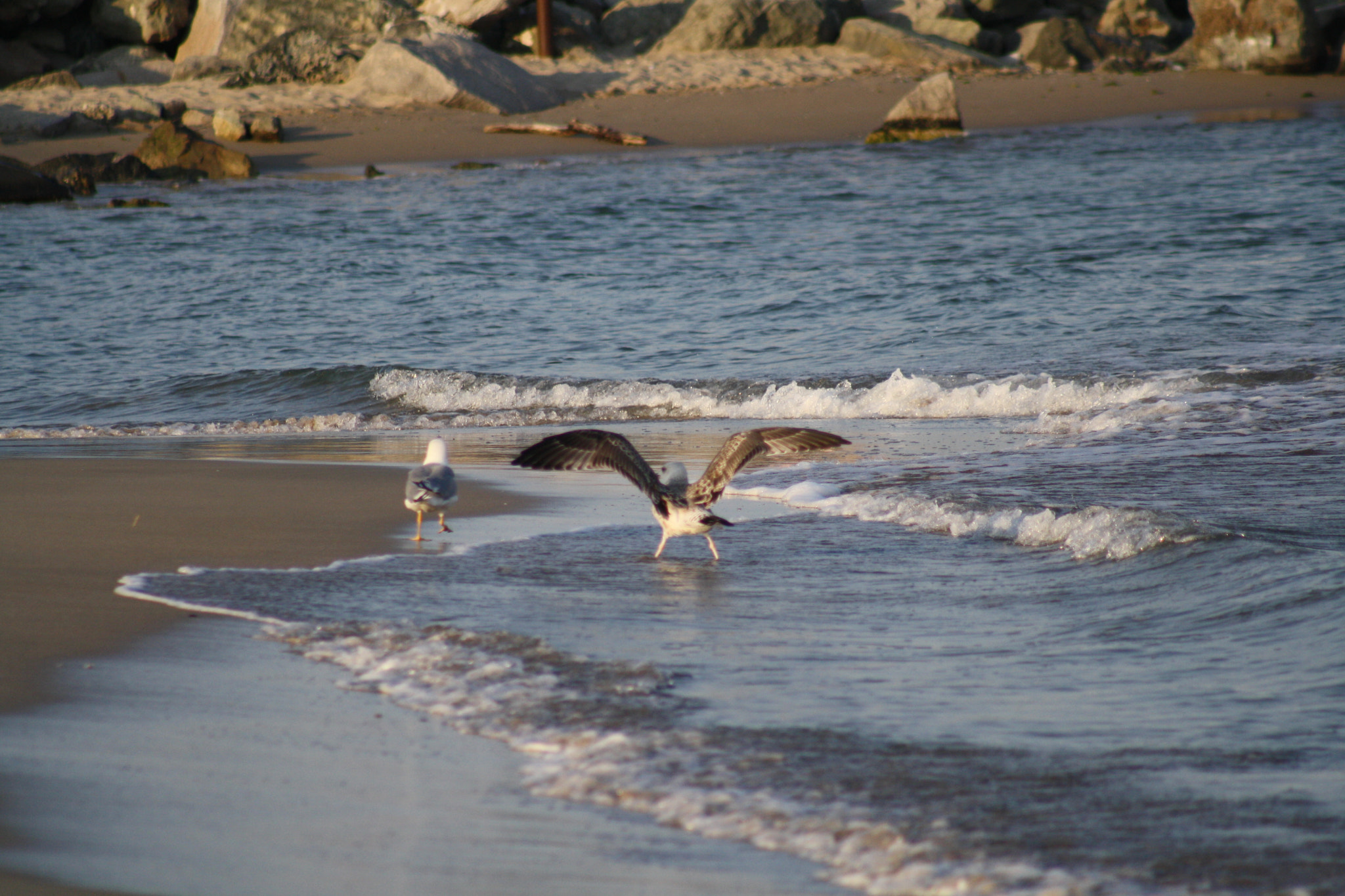 Canon EF 75-300mm f/4-5.6 USM sample photo. Img photography