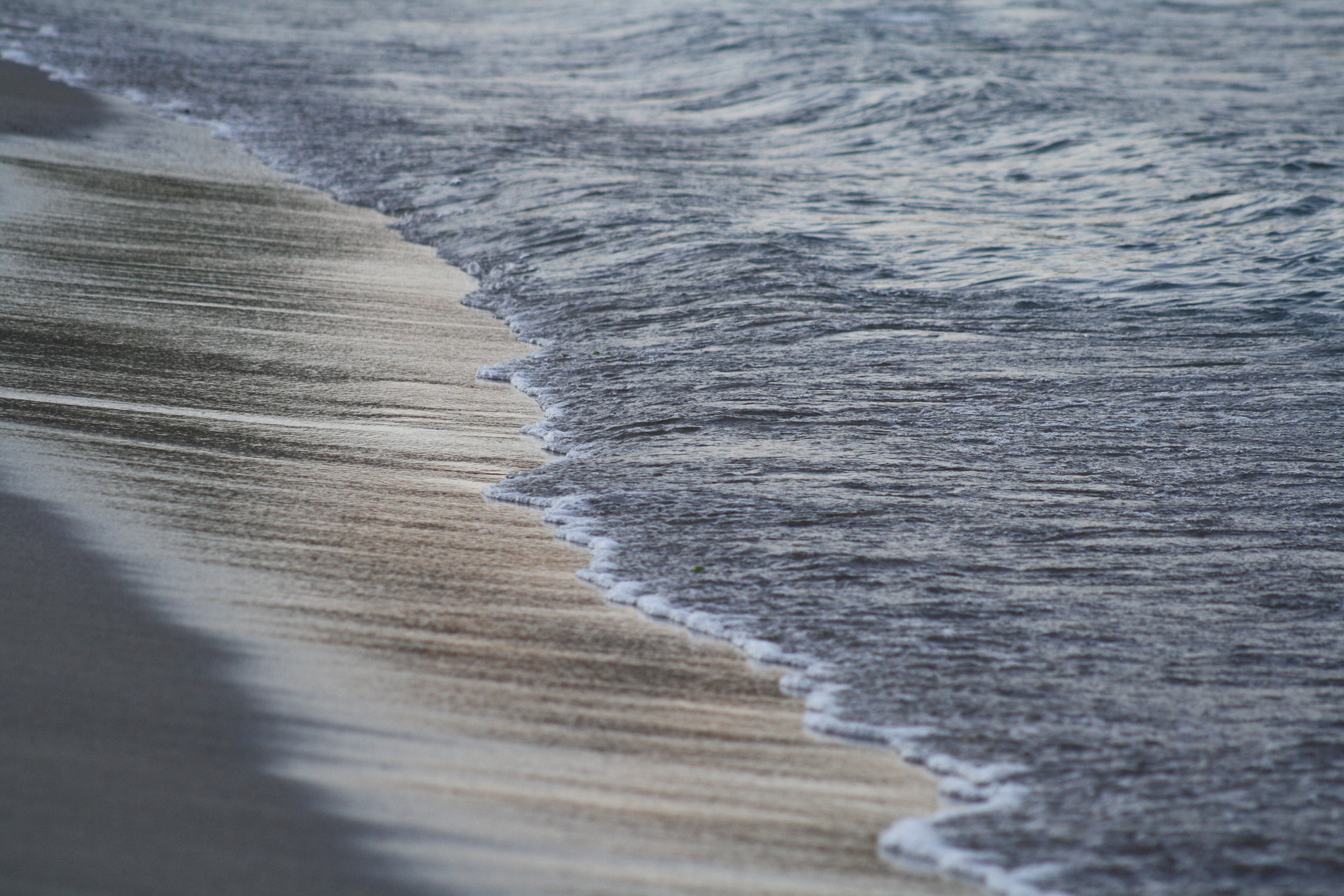 Canon EF 75-300mm f/4-5.6 USM sample photo. Img photography