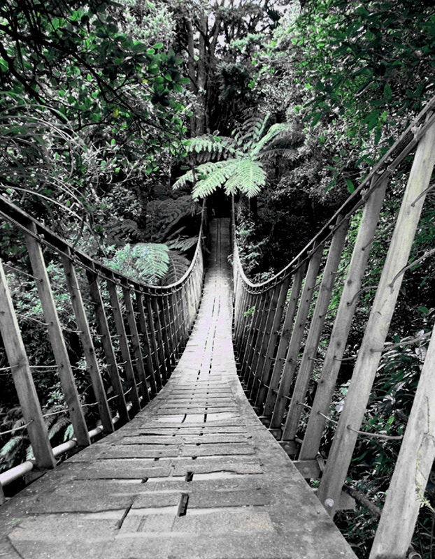 Fujifilm A170 A180 sample photo. Swing bridge photography