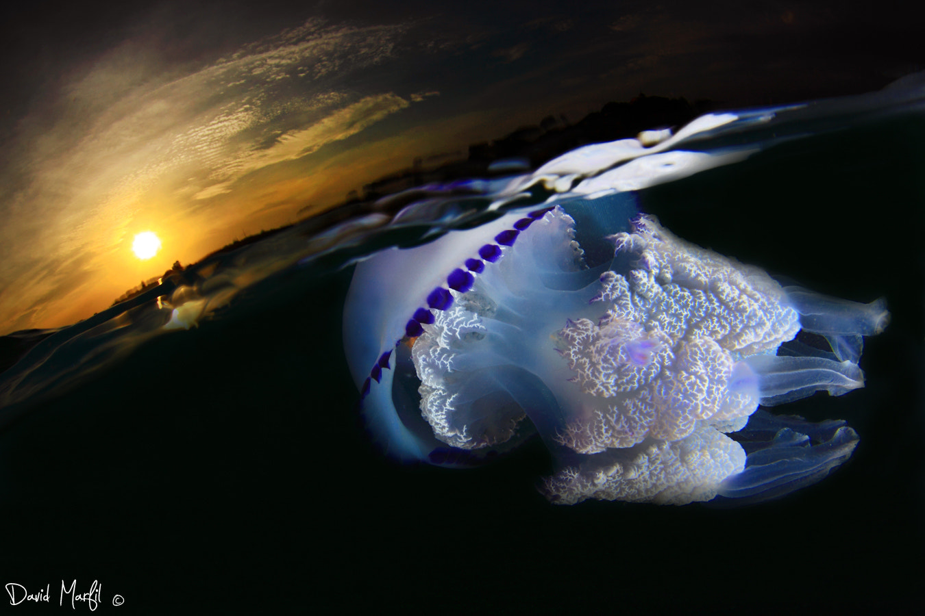 Canon EOS 50D sample photo. Sunset photography