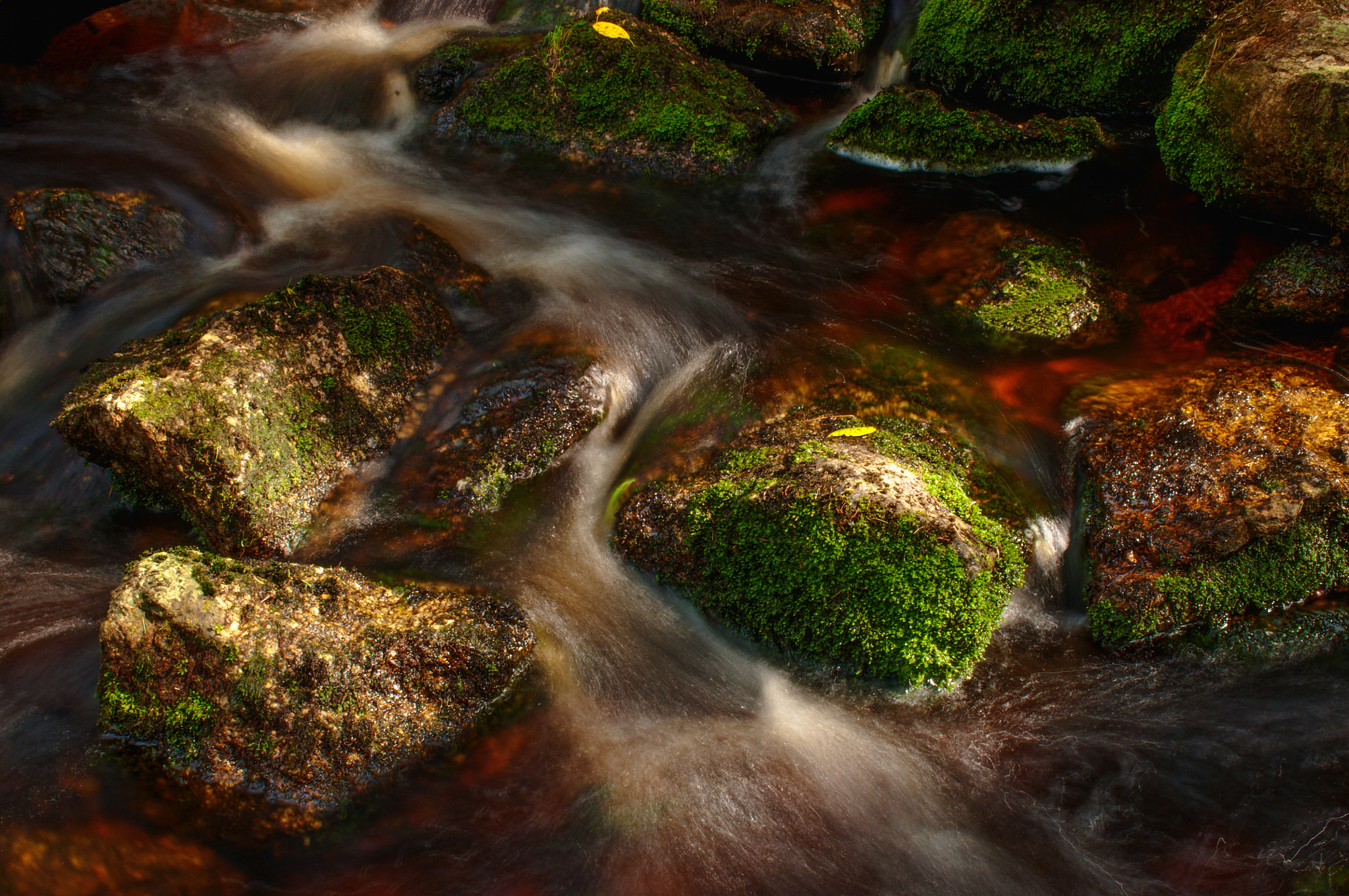 Nikon D5000 sample photo. Peat creek photography