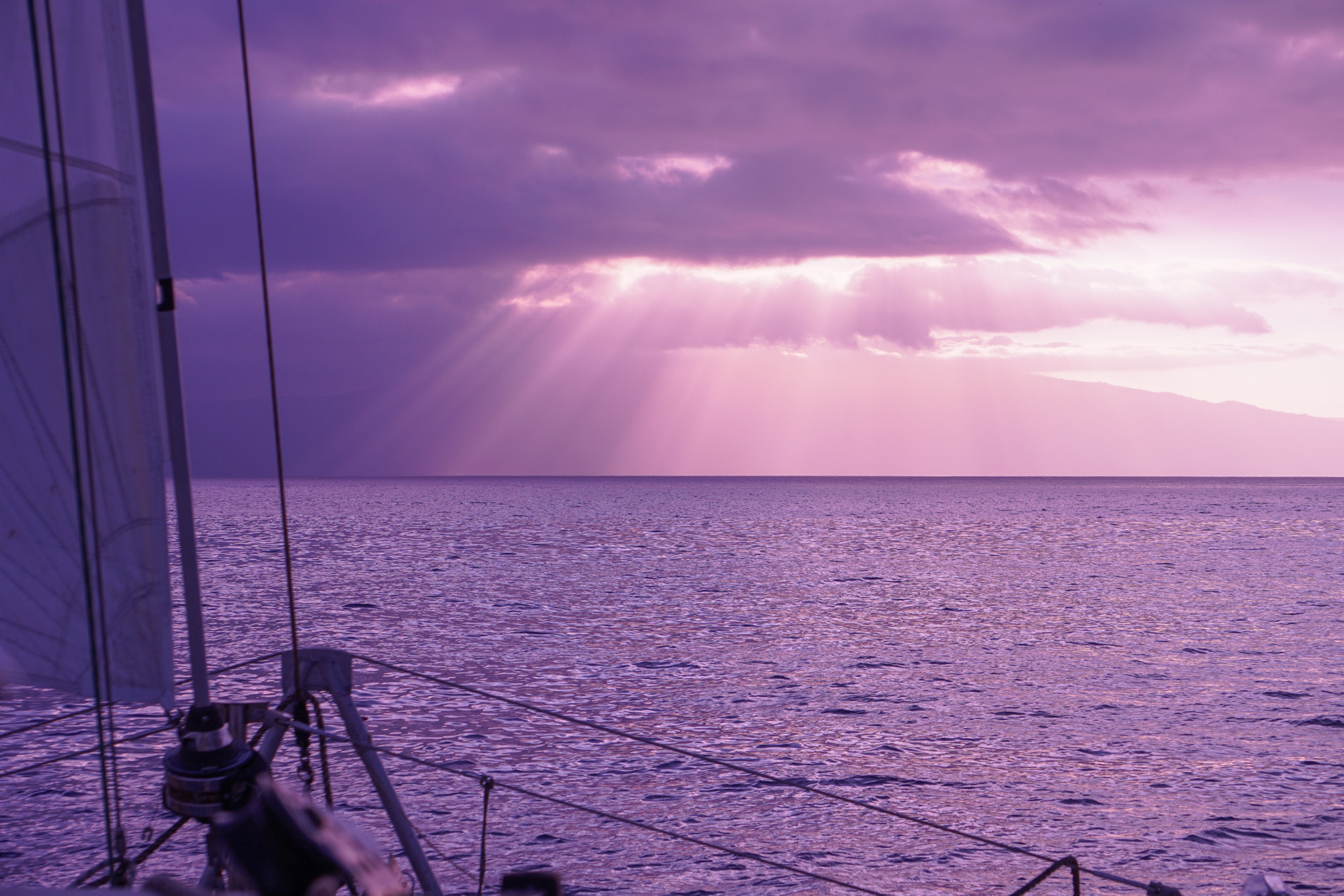 Sony E 55-210mm F4.5-6.3 OSS sample photo. Purple rain, purple rain photography