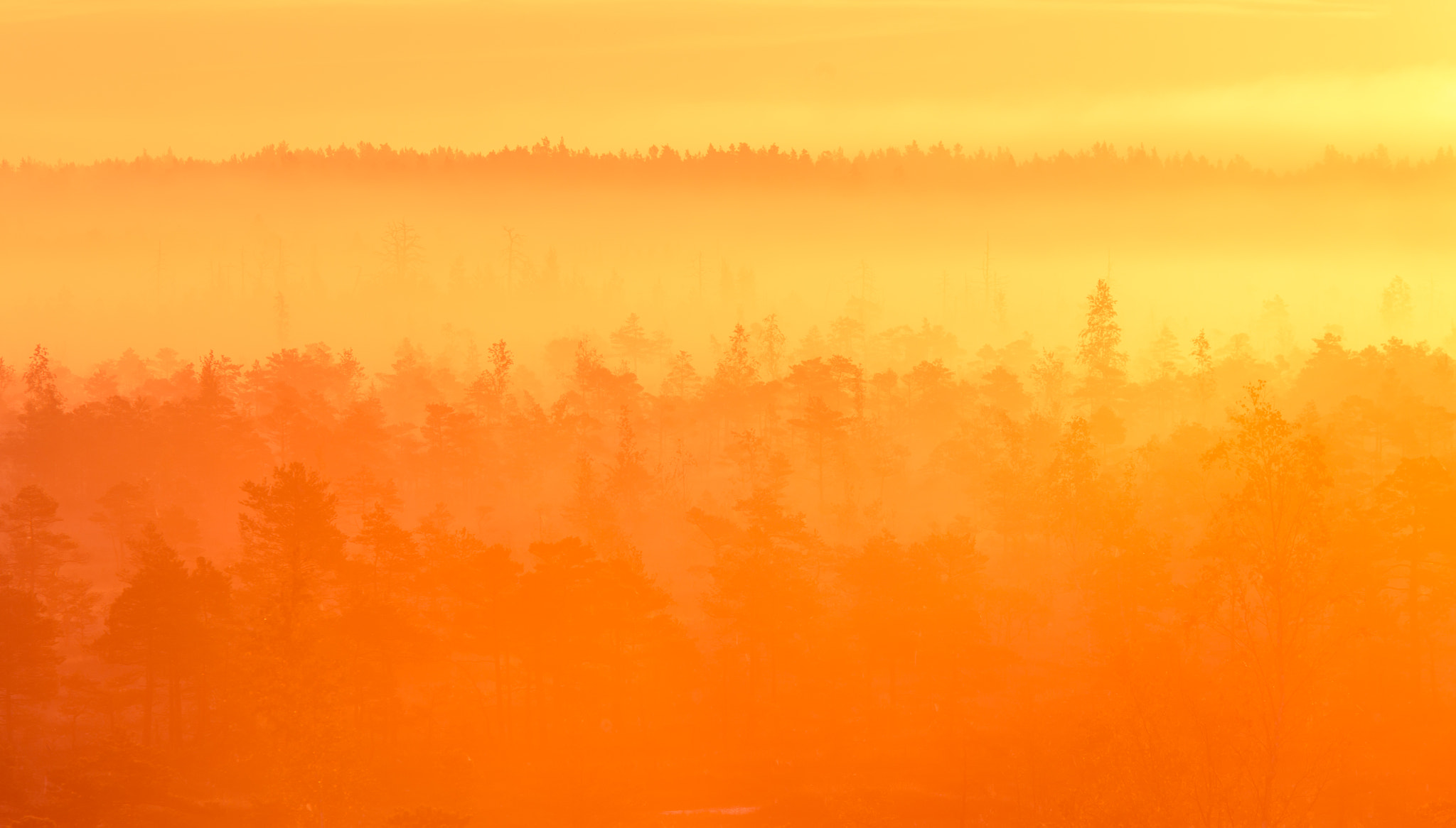 Canon EF 70-200mm F4L IS USM sample photo. Morning light photography
