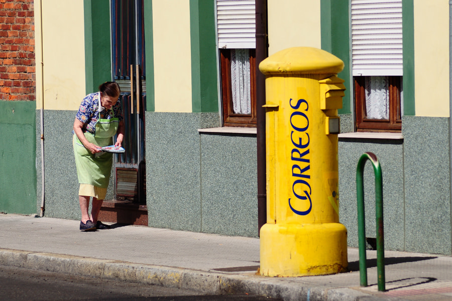 Nikon AF Nikkor 70-300mm F4-5.6G sample photo. Verde y amarillo photography