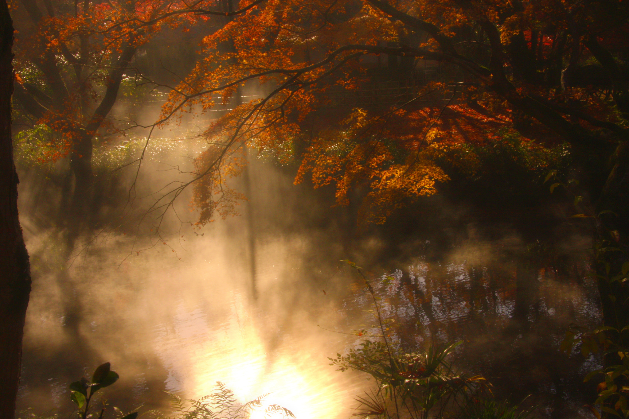 Canon EOS 40D sample photo. Oita prefecture yufuin photography