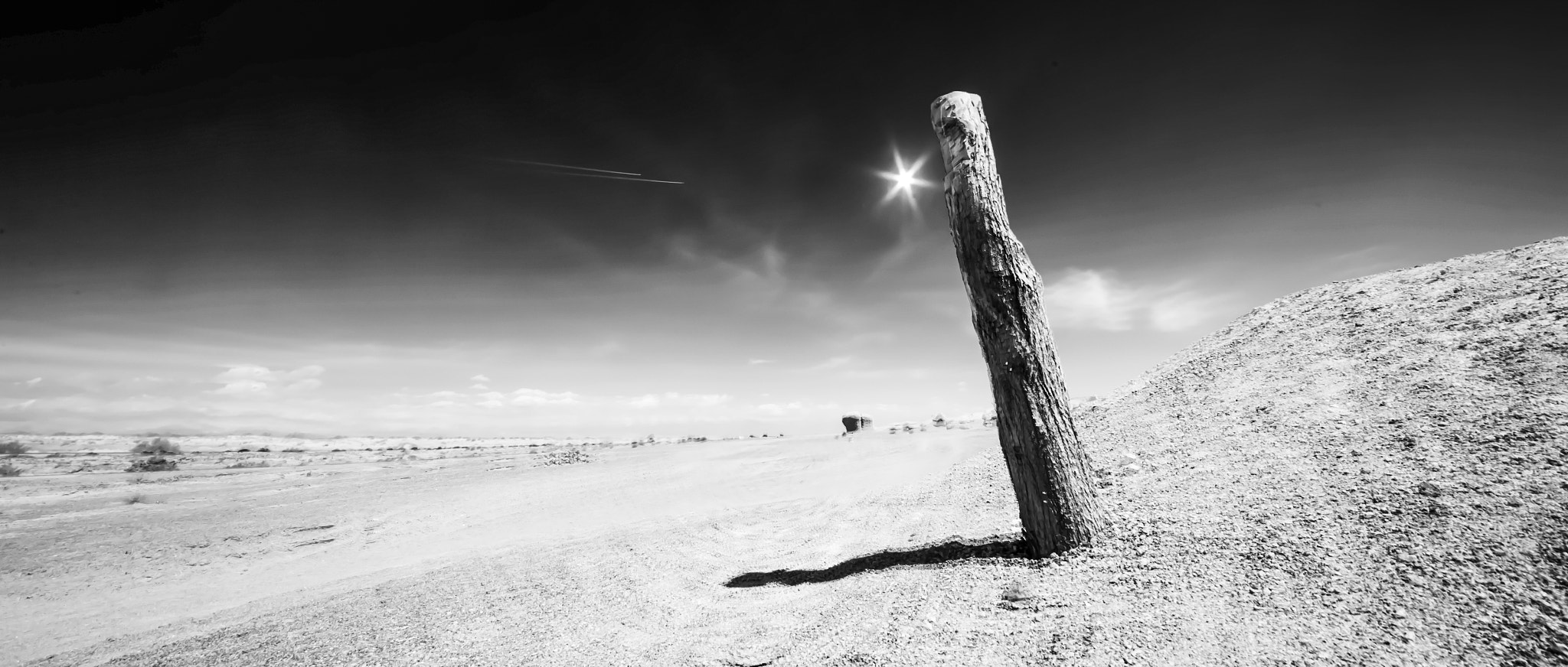 Nikon Df + Sigma 12-24mm F4.5-5.6 II DG HSM sample photo. Dead tree photography