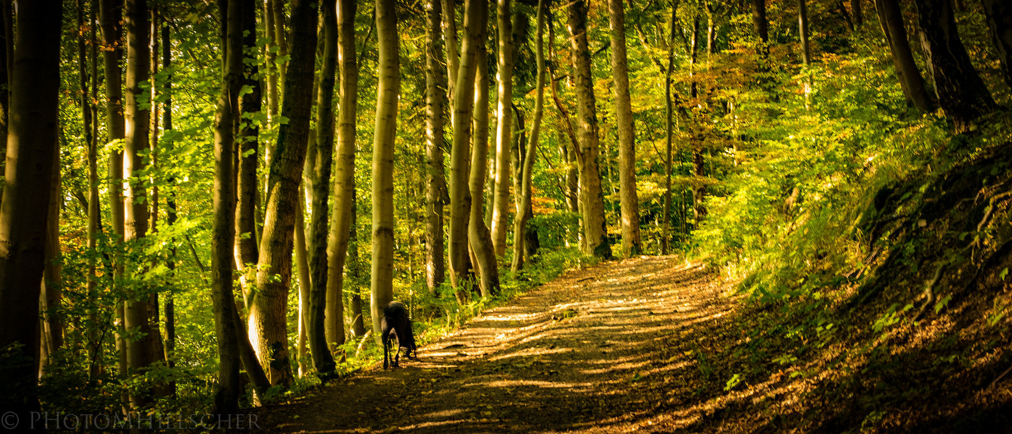 ZEISS Touit 50mm F2.8 sample photo. Relax photography