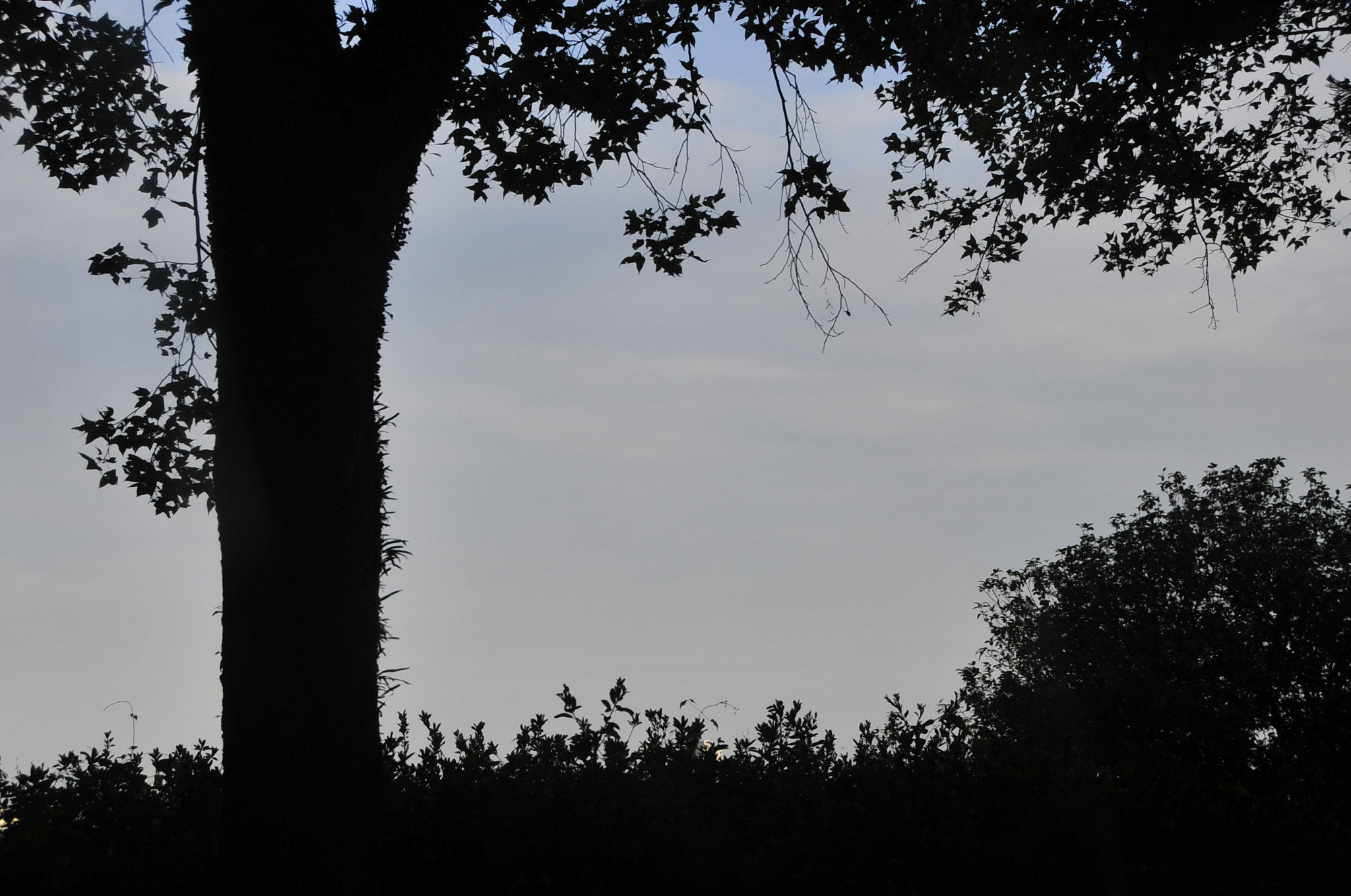 Nikon D3 sample photo. .. photography