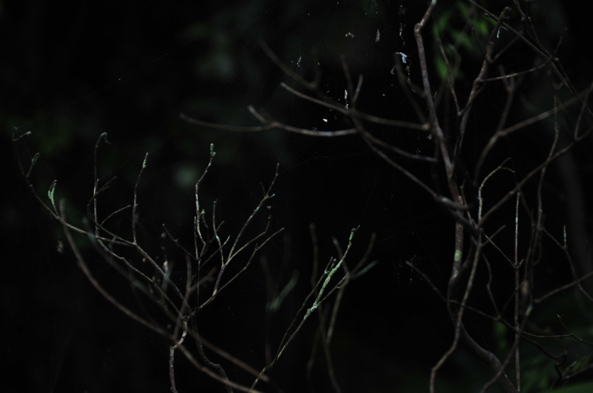 Nikon D3 sample photo. .. photography