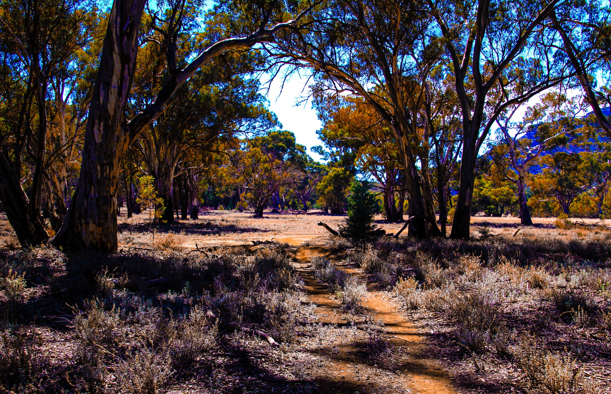 Canon EOS 50D + Canon 18-200mm sample photo. Indian summer... photography