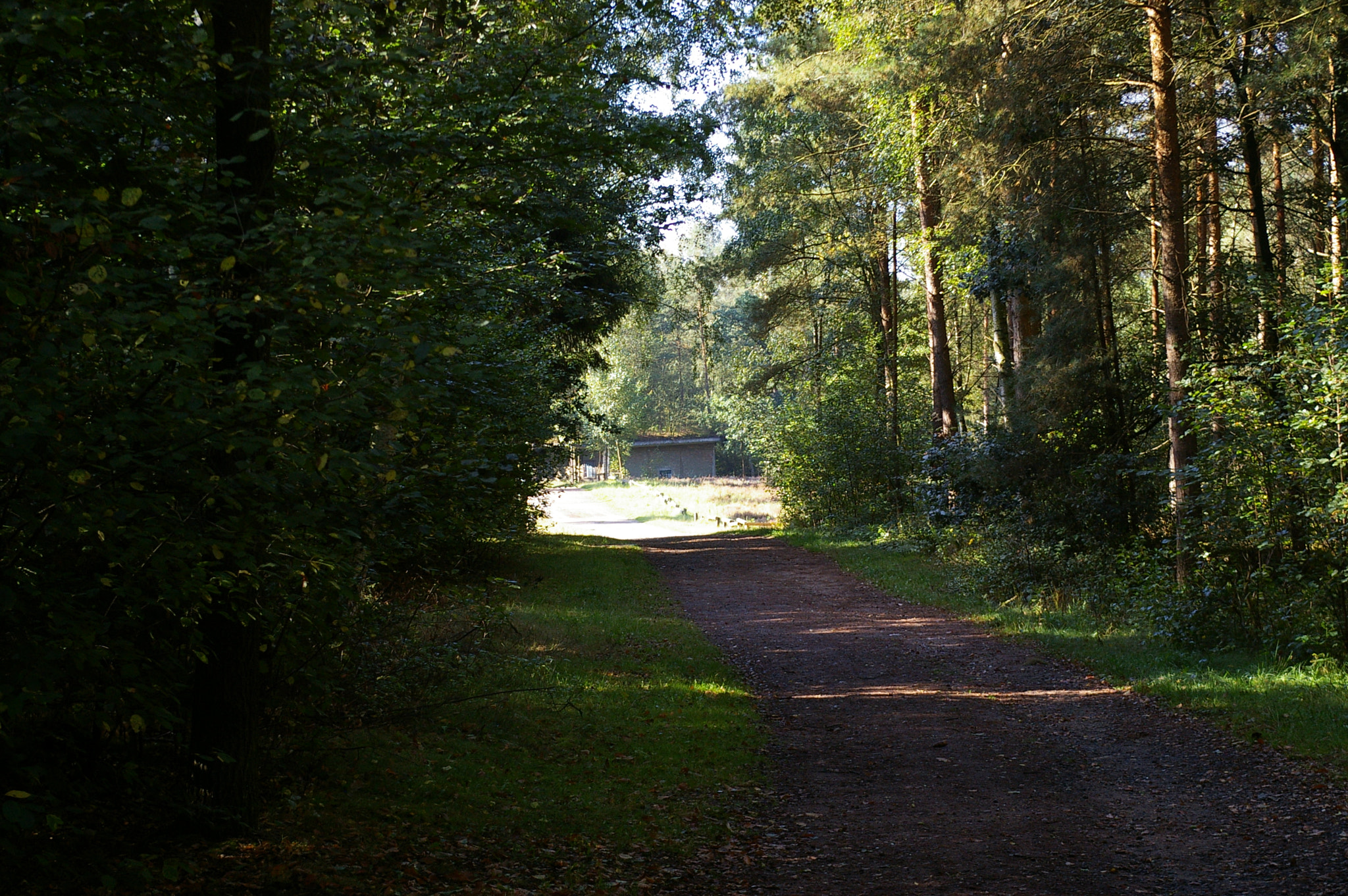 Pentax *ist DL sample photo. The old bunker photography