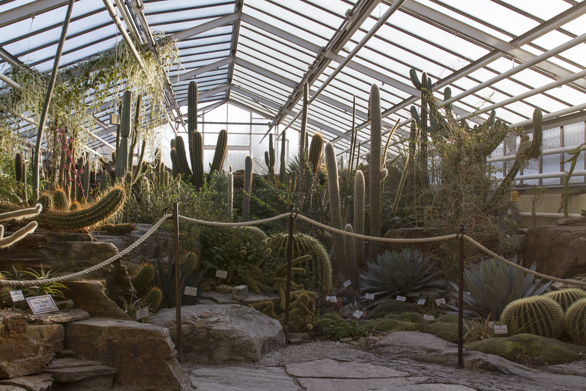 EF28-70mm f/2.8L USM sample photo. Botanischer garten münchen photography
